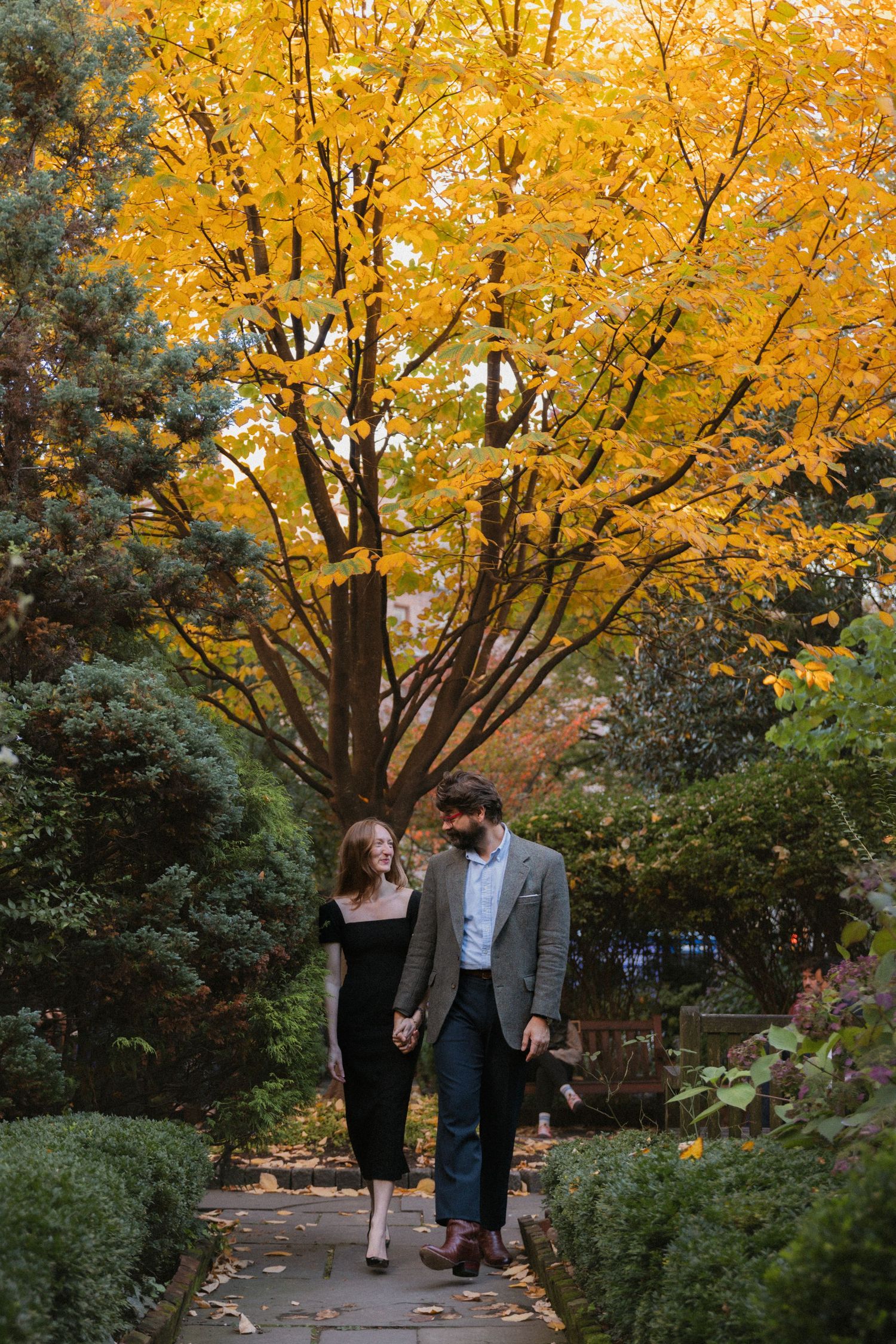 A couple walks together on an autumn path beneath vibrant yellow maple trees in a peaceful garden setting.
