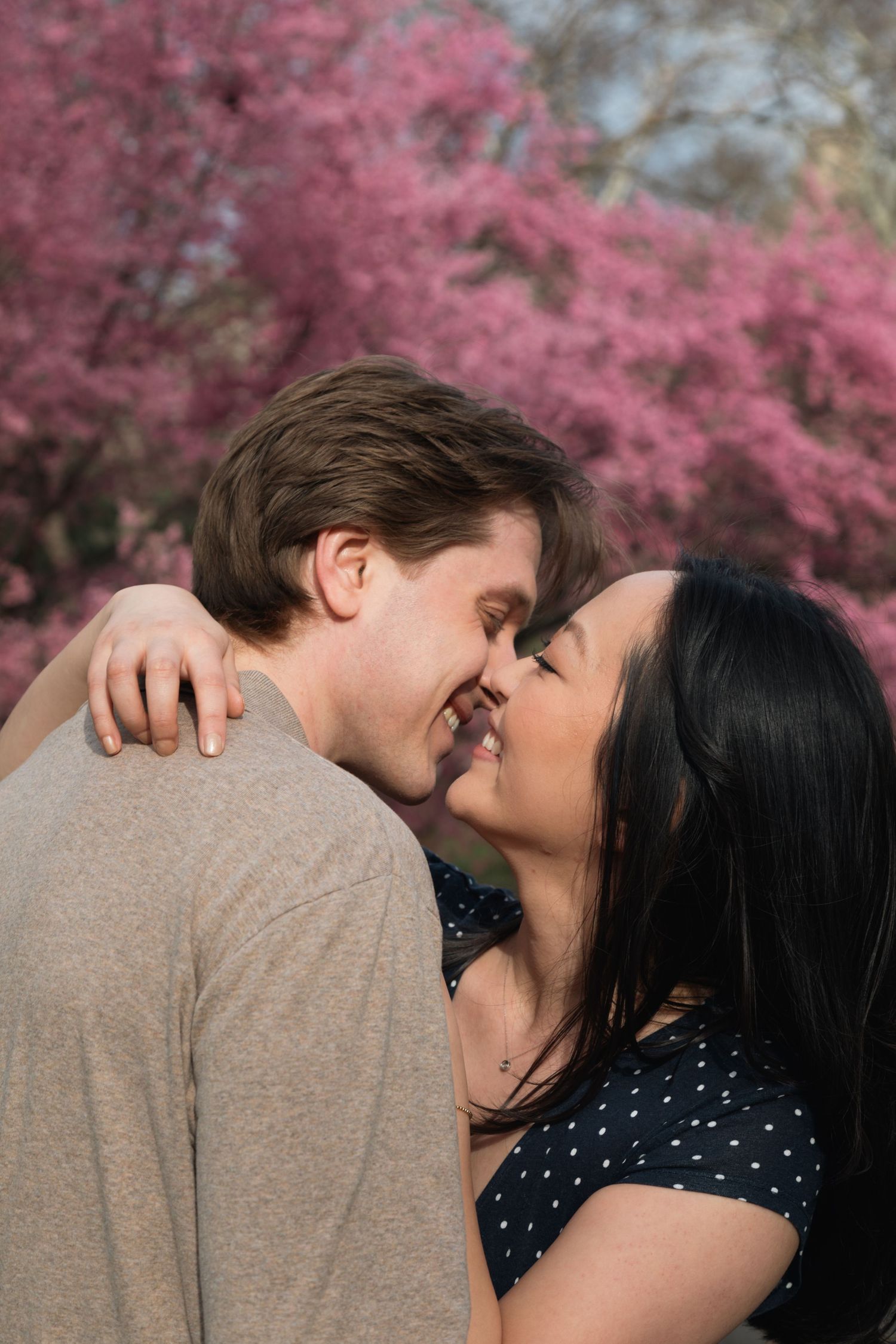 A couple shares romantic kisses against a backdrop of blooming pink cherry blossom trees in spring.
