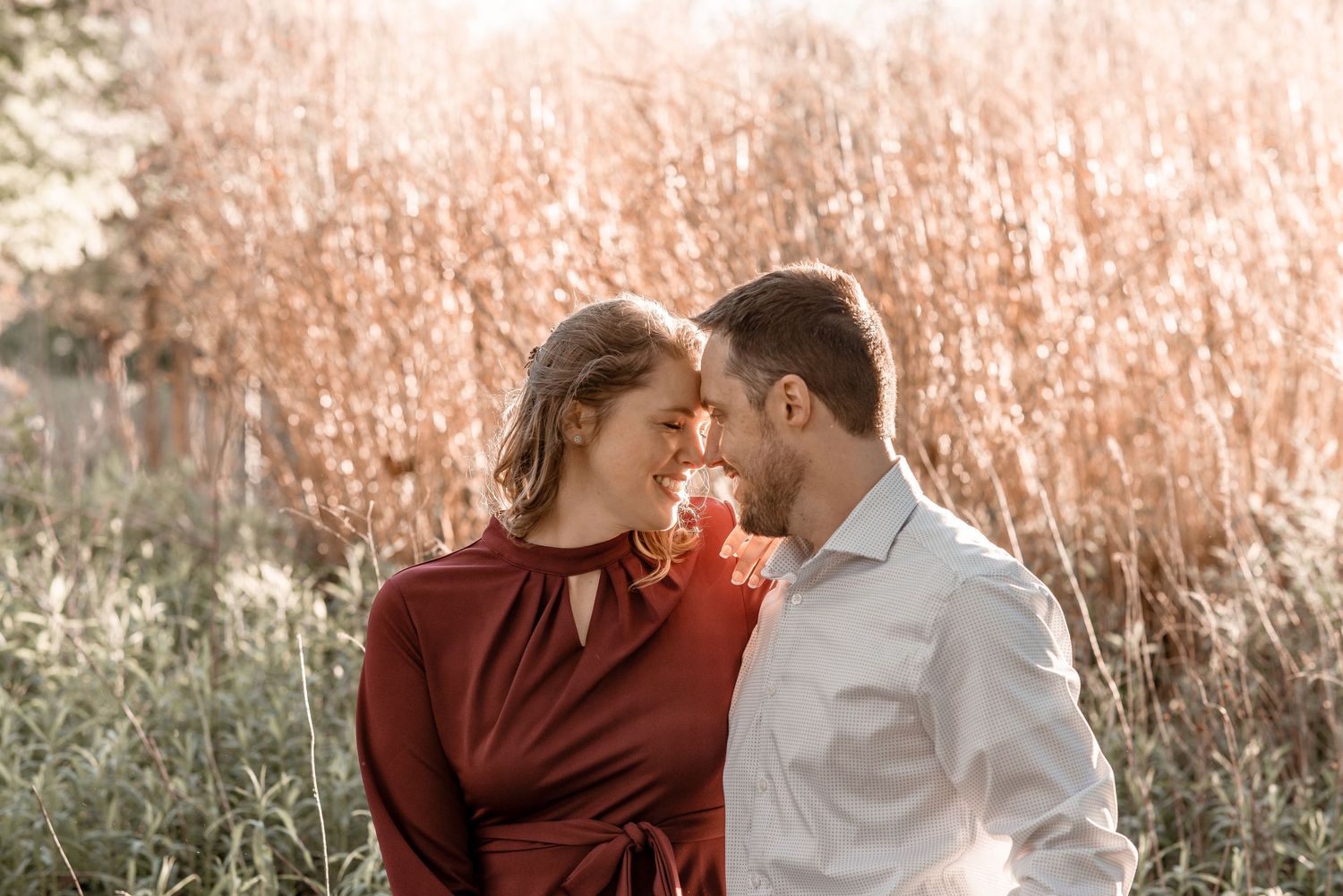 Couple standing close together nose to nose in a sunlit field of tall golden grasses.