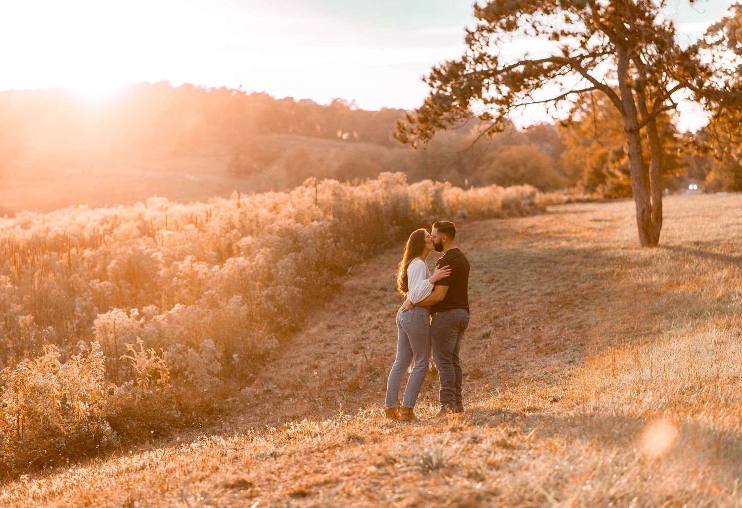 Couple sharing a romantic kiss in a golden sunlit field during a fall engagement photo session.