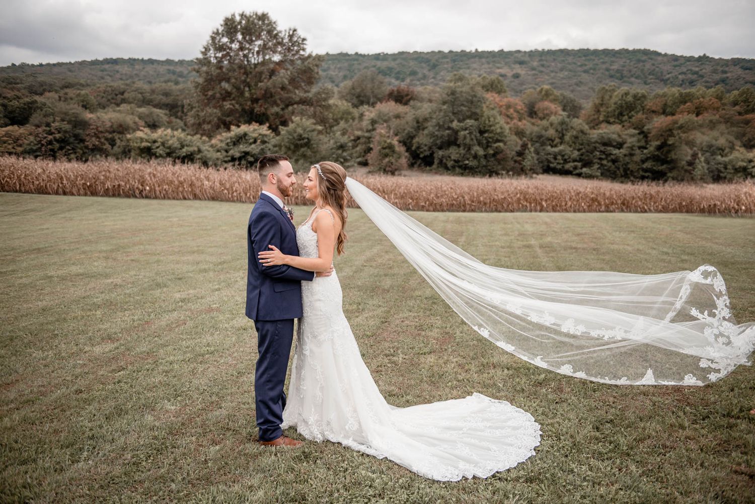 Bride and groom share a romantic kiss in an open field with a flowing cathedral veil and rustic backdrop.