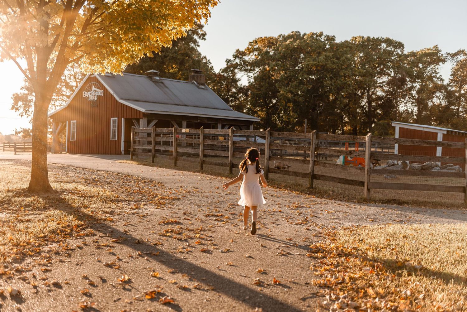 A young girl in a white dress runs joyfully toward a rustic red barn in golden sunset light.