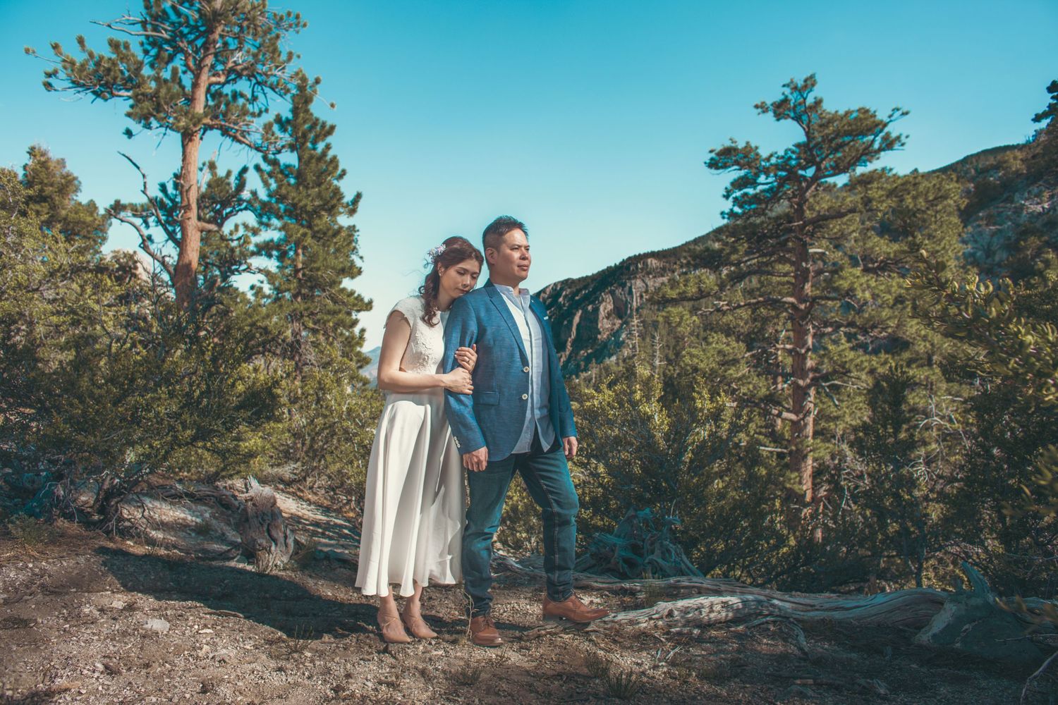 Couple in wedding attire posing on rocky mountain overlook surrounded by pine trees under blue sky.