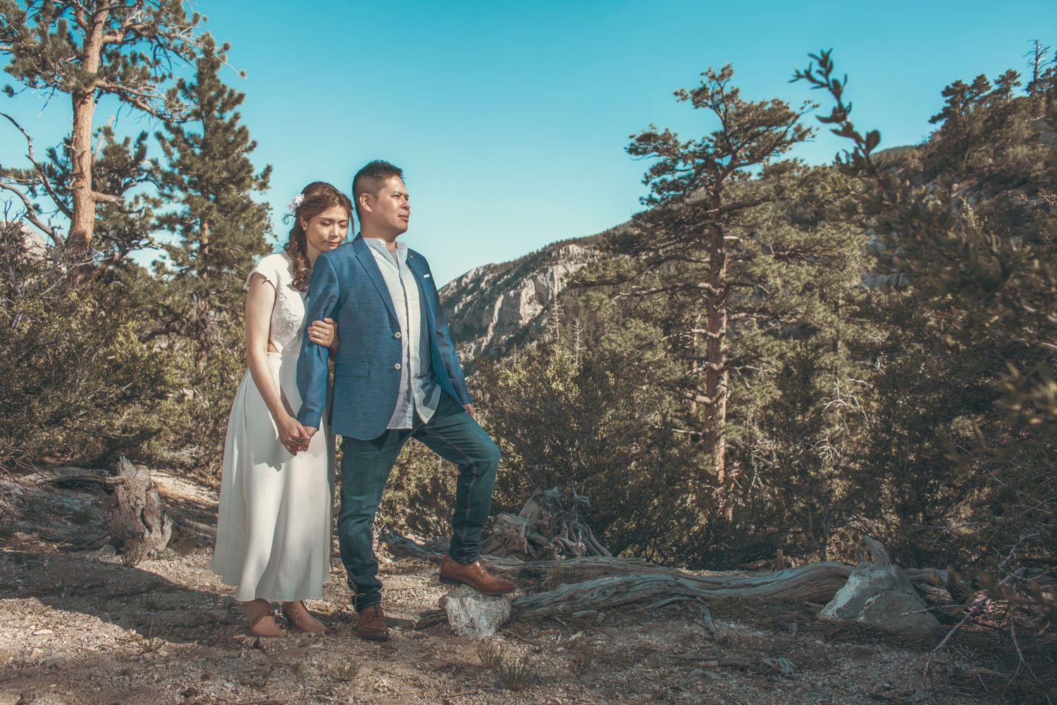 Couple in wedding attire poses on rocky mountain overlook surrounded by pine trees under a clear blue sky.