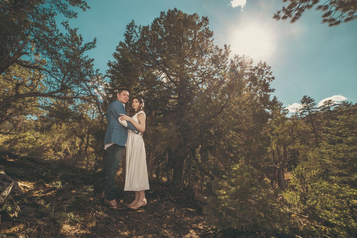 Couple embracing outdoors among pine trees on a sunny rocky hillside in a romantic engagement photo.
