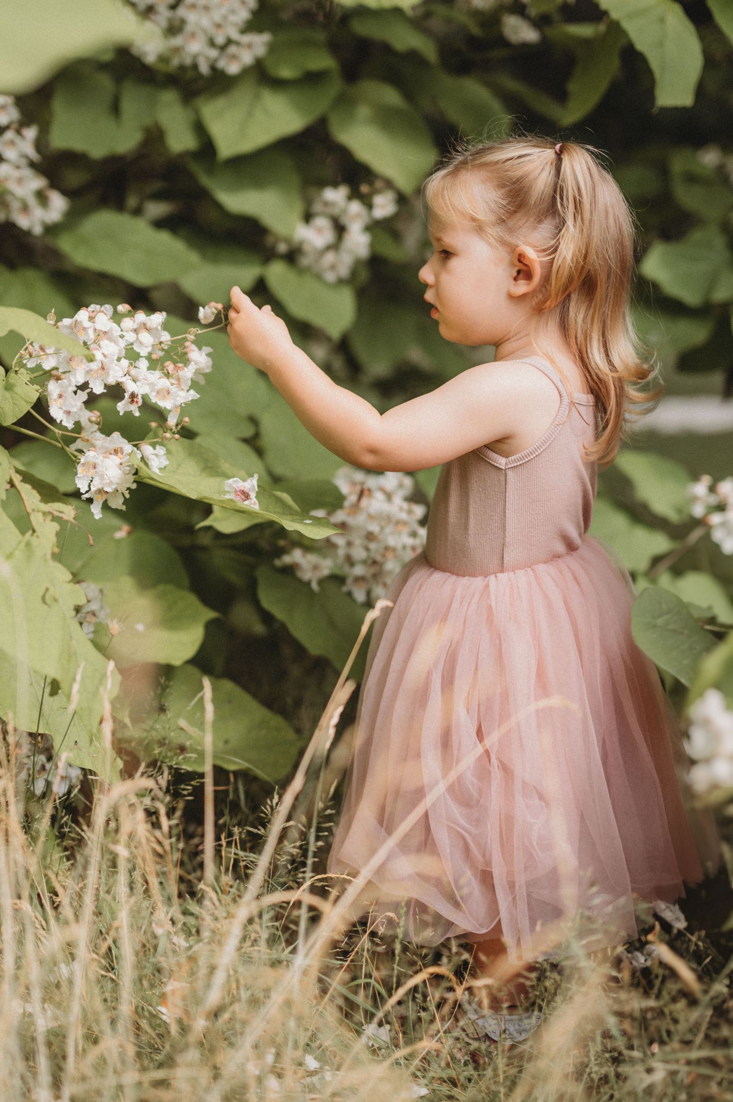 Toddler girl in pink tulle dress reaching to touch white flowers on a bush in a lush garden.