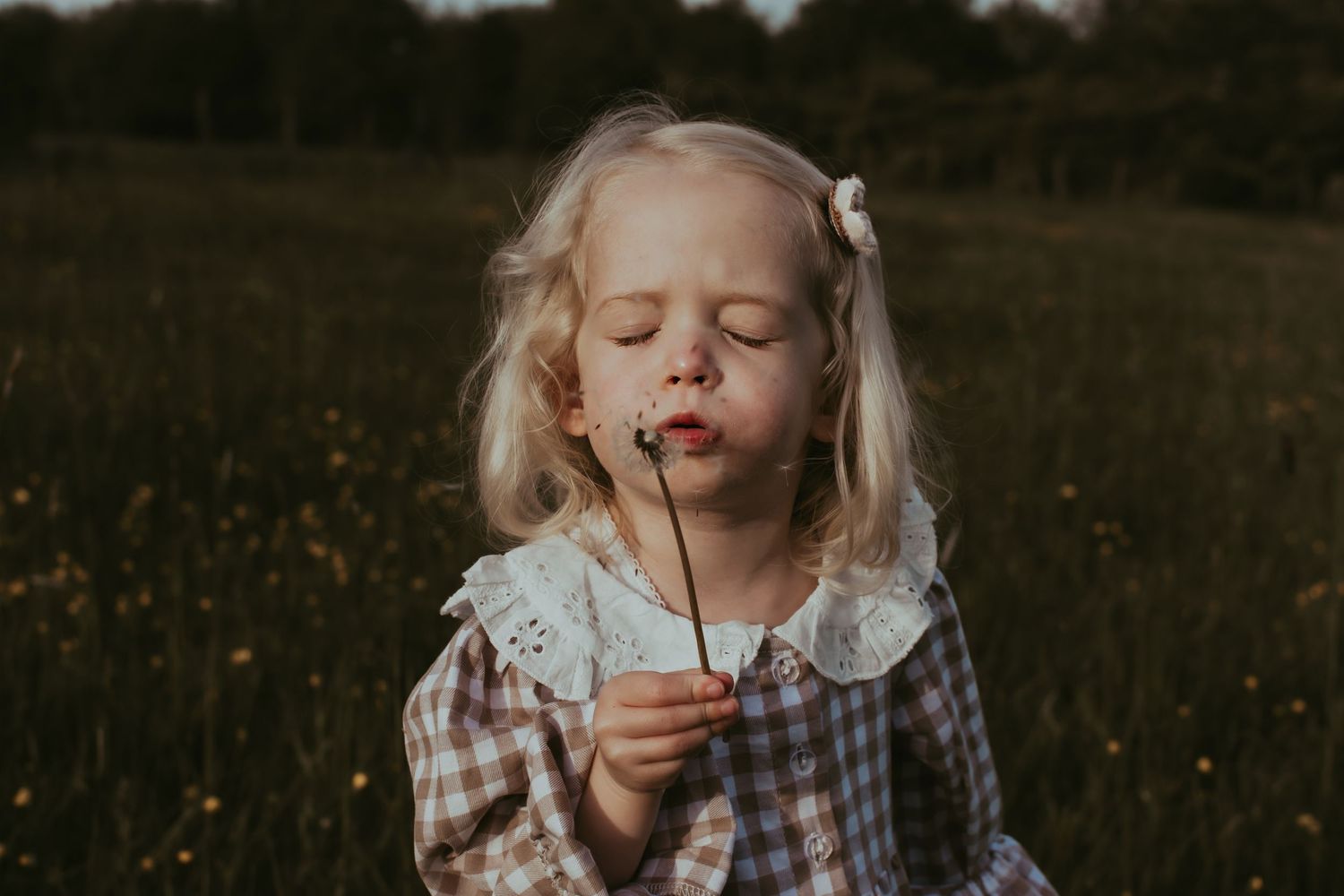 Young blonde girl blowing dandelion seeds in a meadow, wearing a plaid dress with lace collar.
