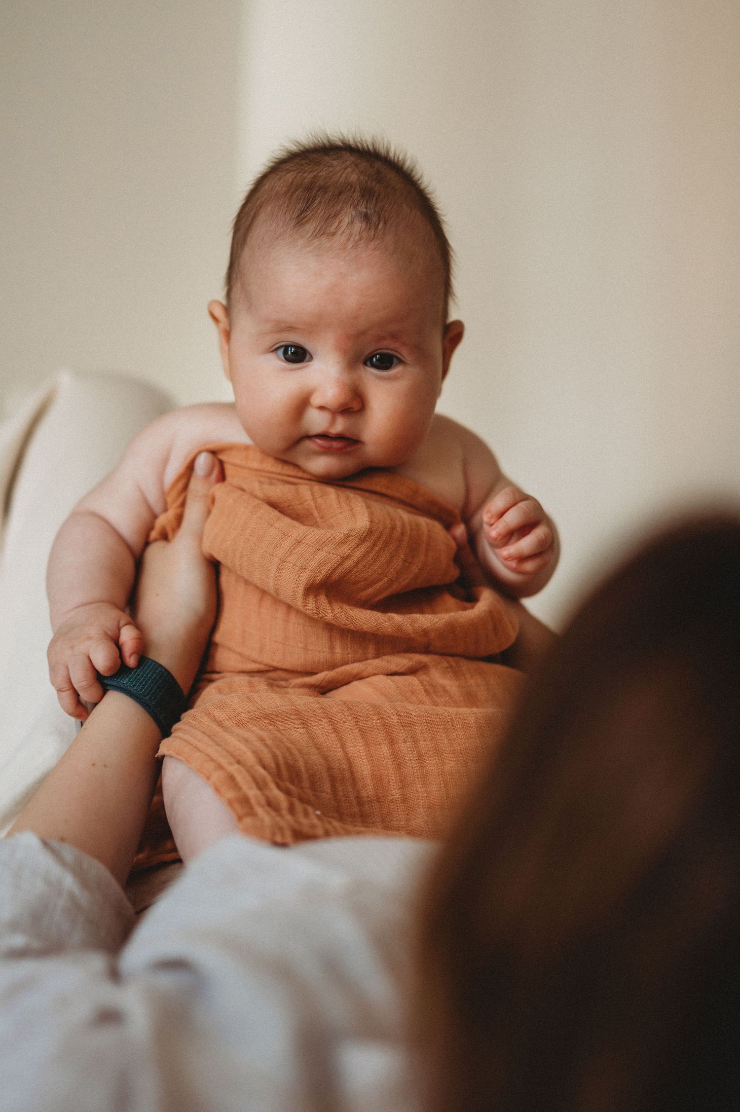 An alert newborn baby wrapped in an orange muslin cloth being held up by a parent.