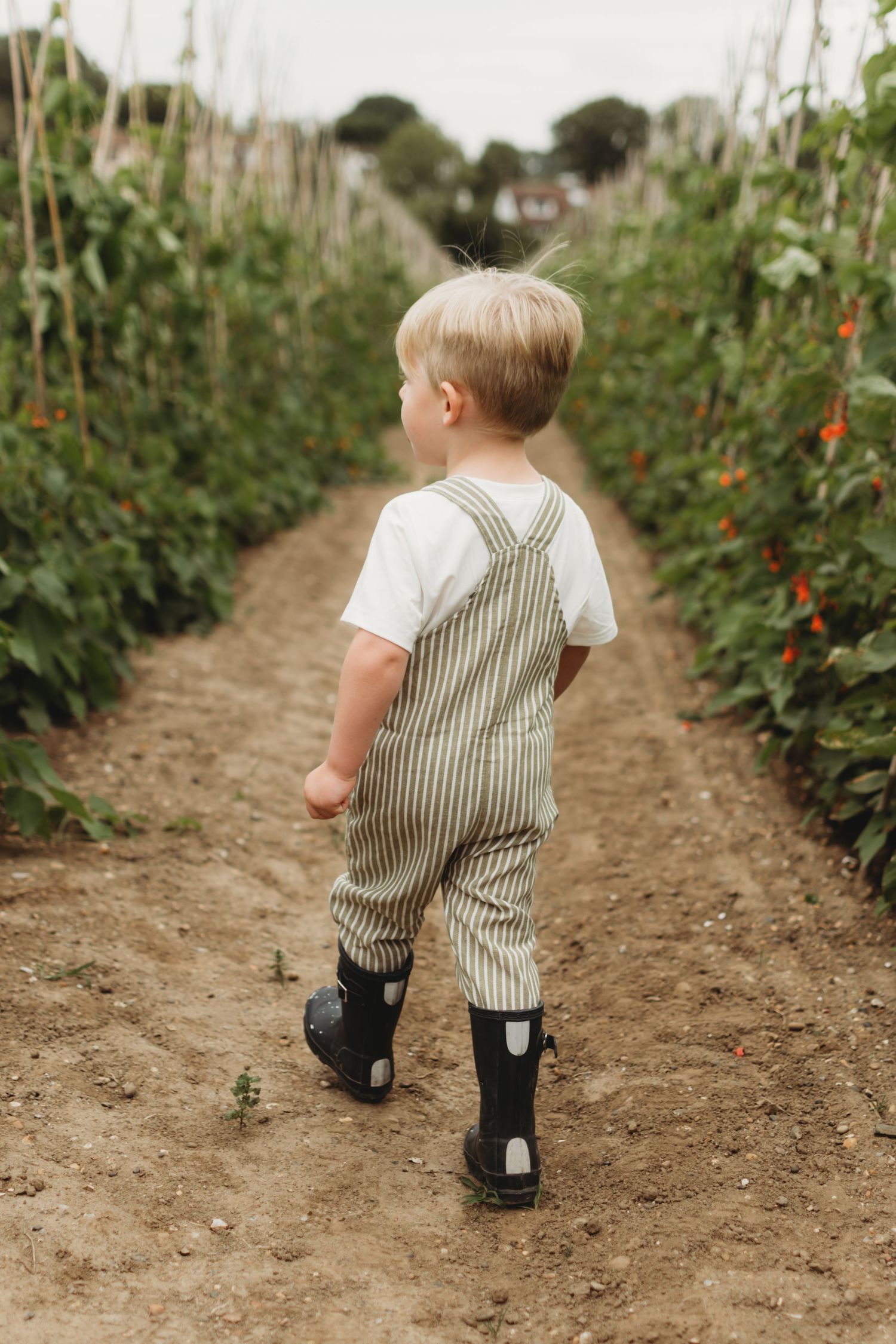 Young blonde boy in striped overalls and rain boots walking along a garden path.