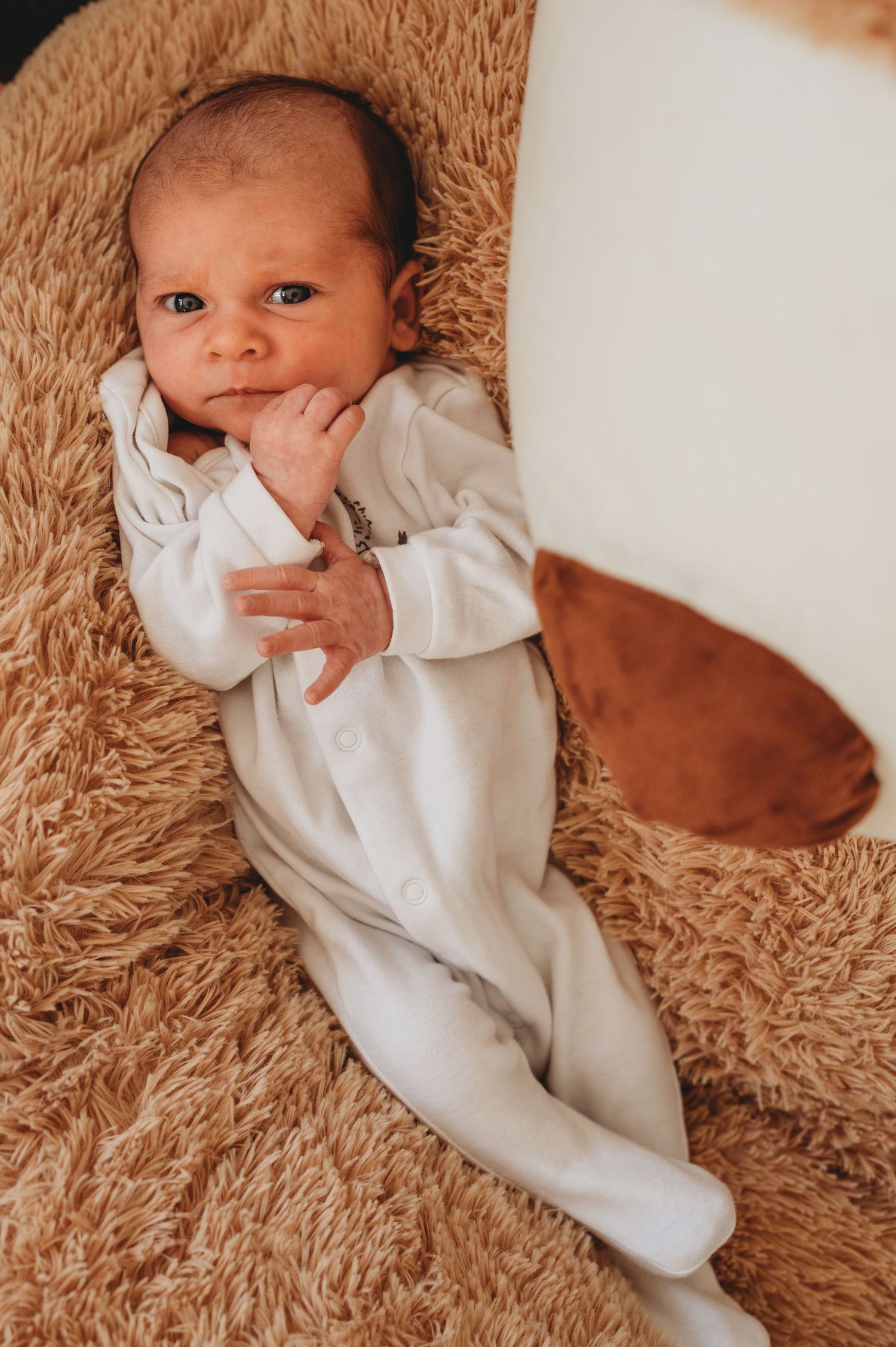 Alert newborn baby in a white sleepsuit lying on a fluffy brown rug looking at the camera.