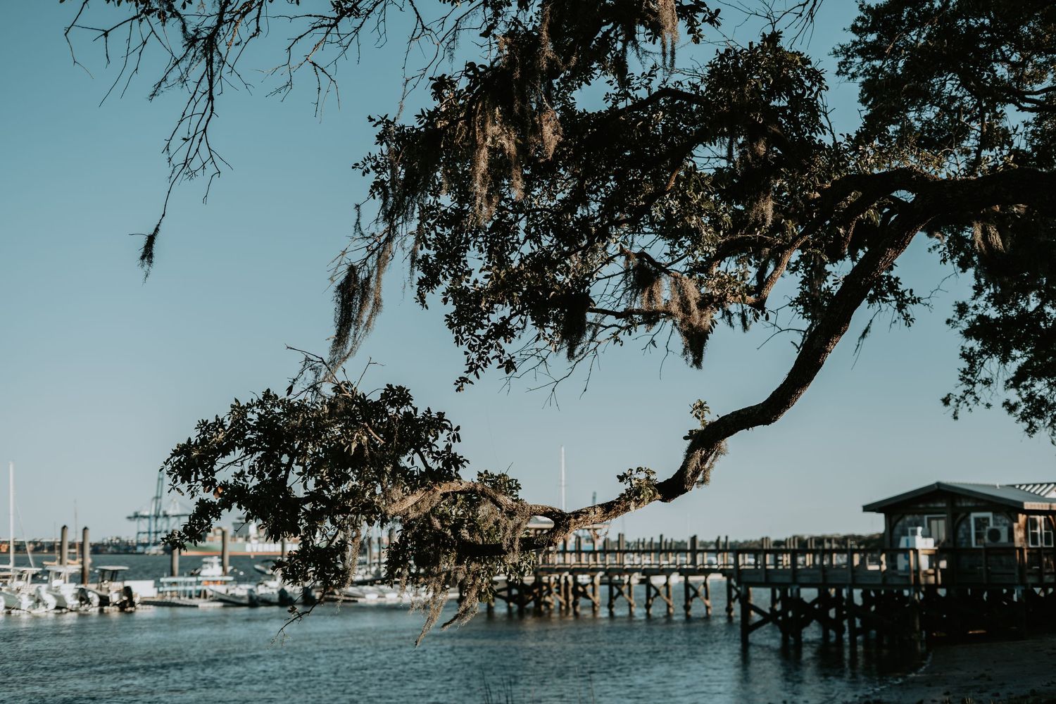 daniel island waterfront park south carolina