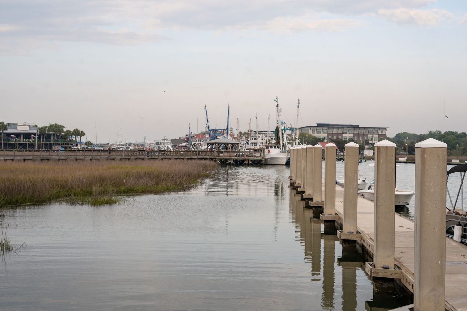 charleston south carolina shem creek