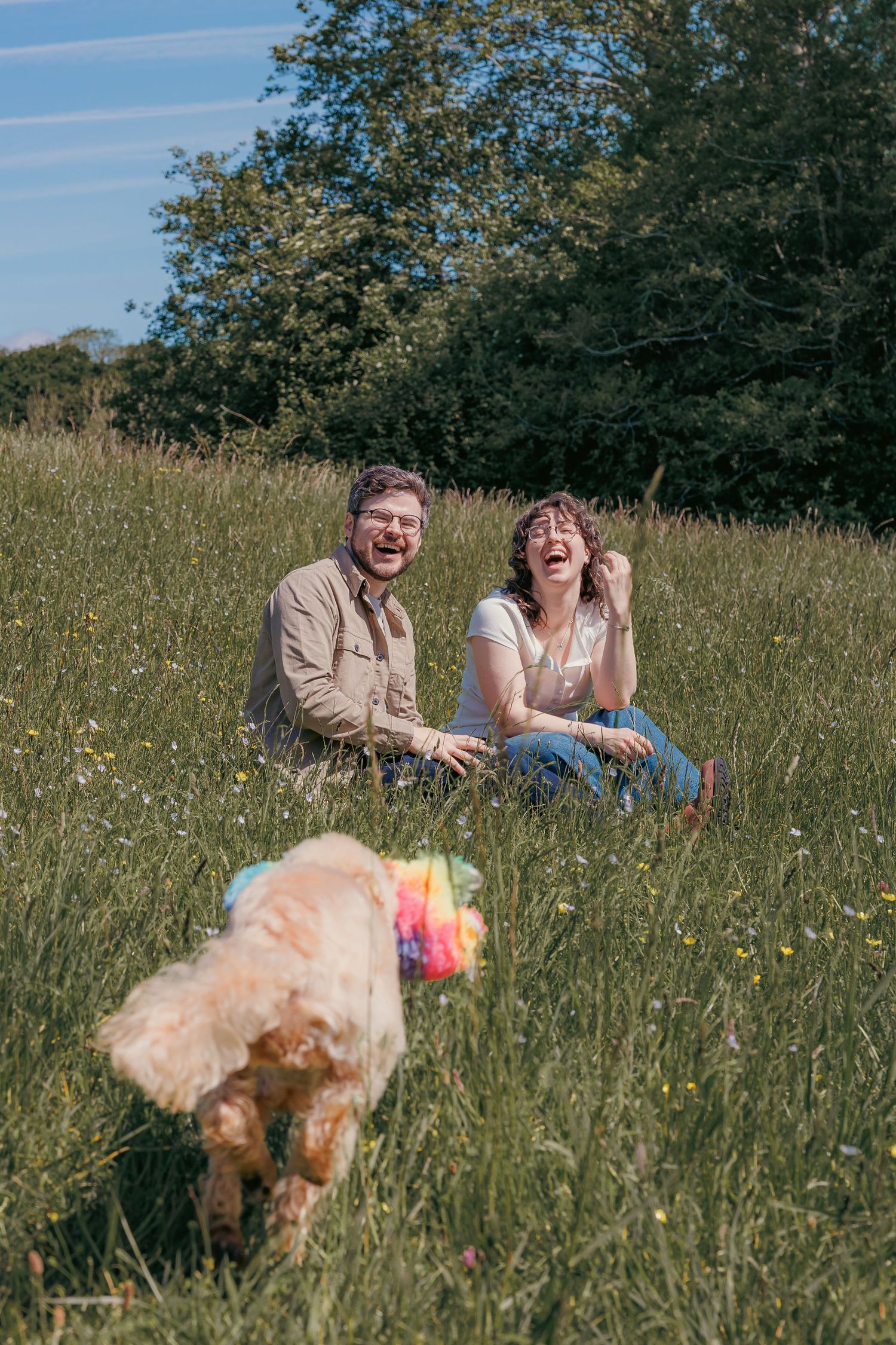 Couple laughing in a sunny meadow with a golden dog playing with a colorful toy in the foreground.