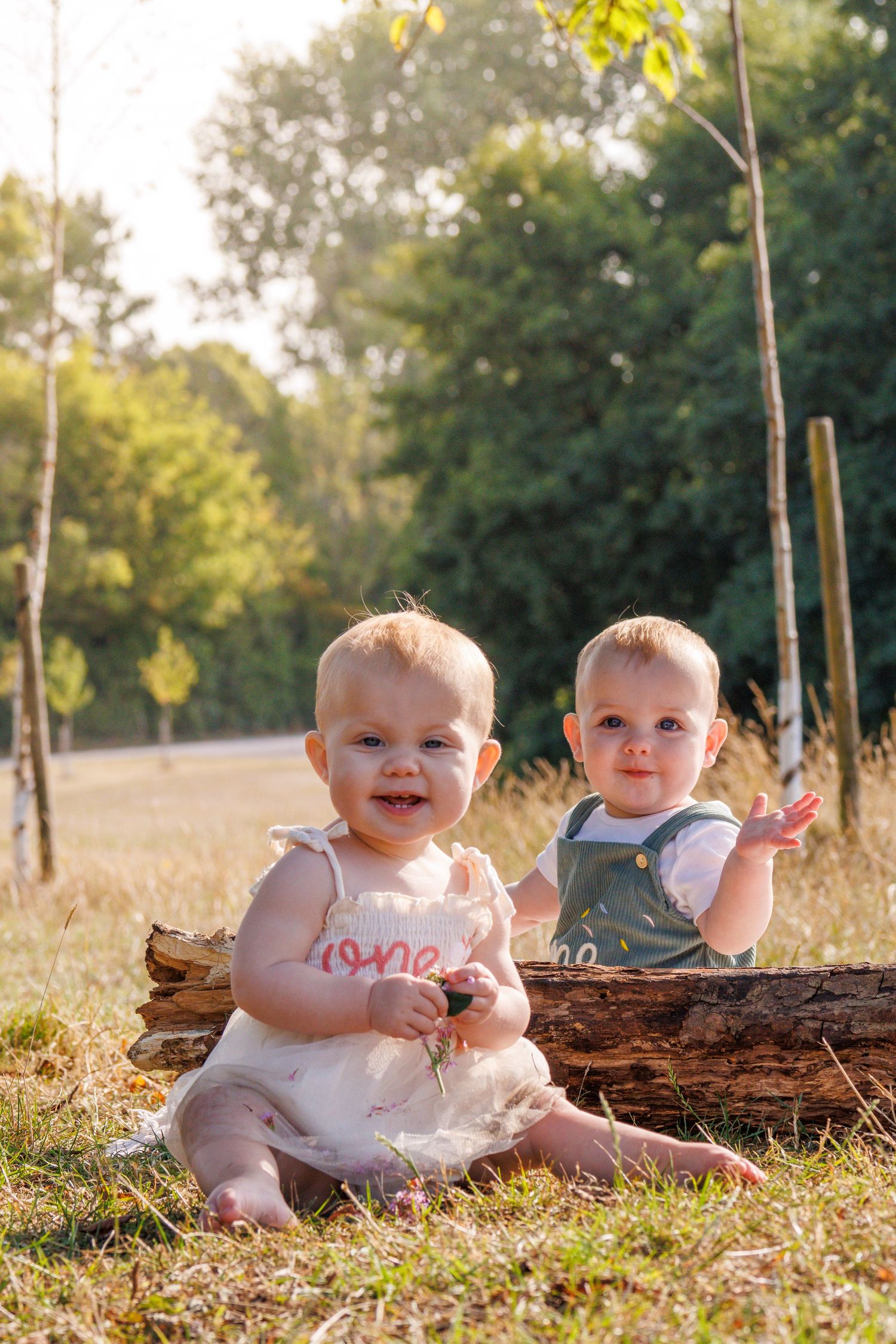 Two adorable baby twins sitting on grass near a log in a sunny park, wearing cute outfits and smiling.