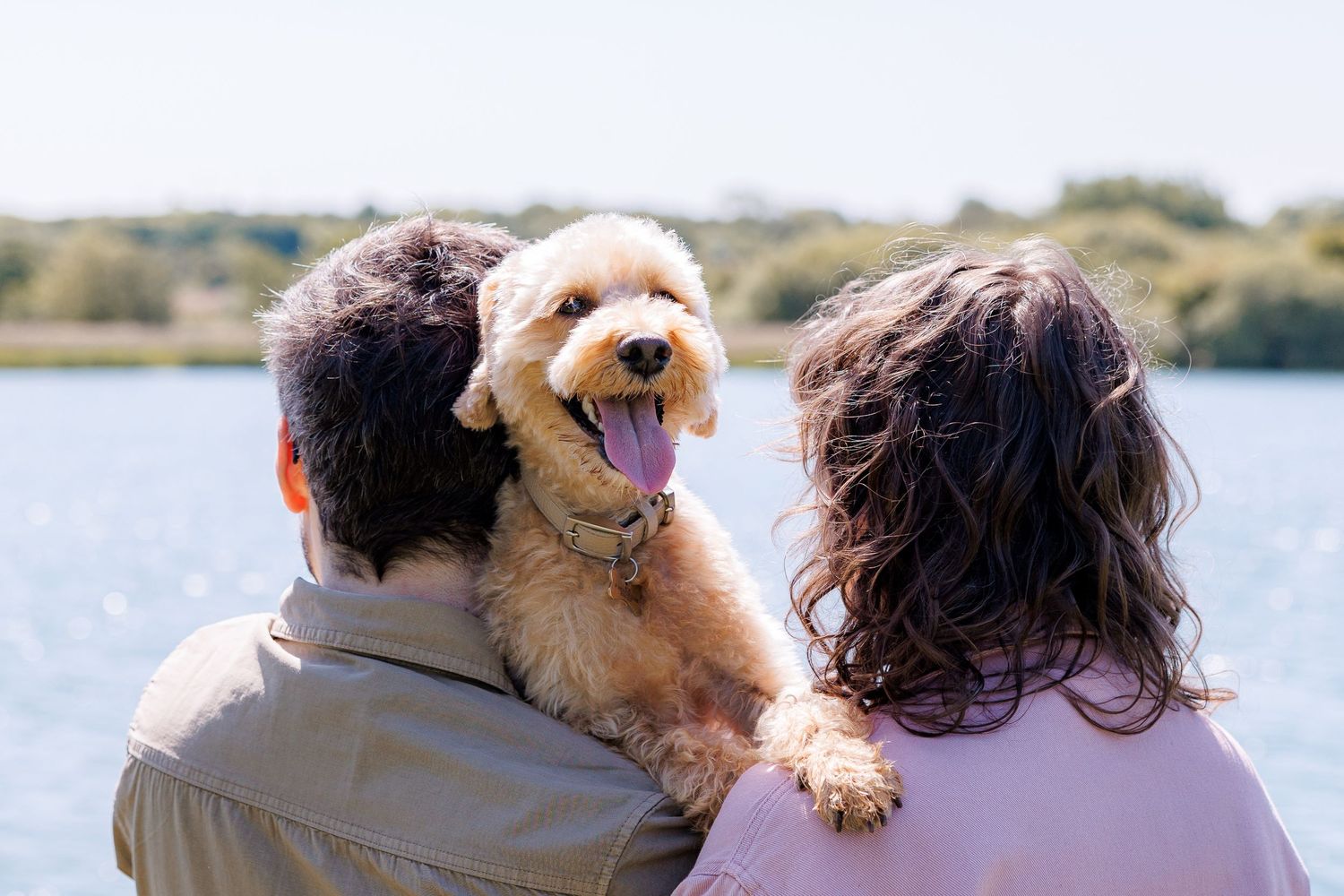 A happy Goldendoodle dog sitting on a couple's shoulders outdoors near a lake on a sunny day.