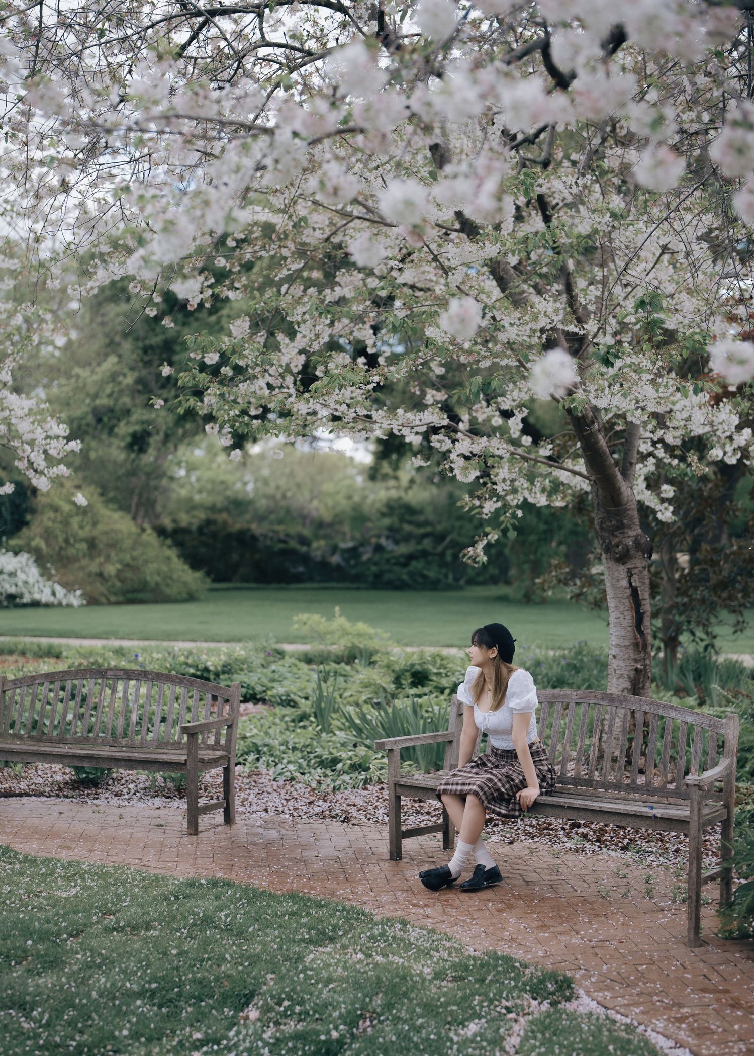 Young woman in plaid skirt sitting on wooden bench under blooming white cherry blossom tree in garden.