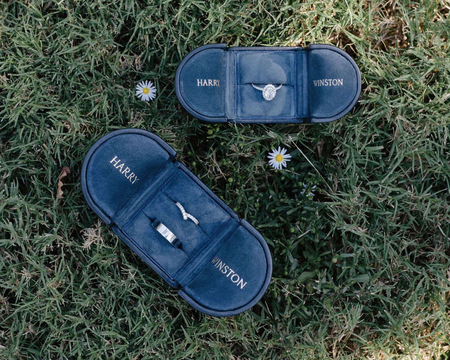 Two Harry Winston ring boxes with wedding rings displayed on green grass with daisies.
