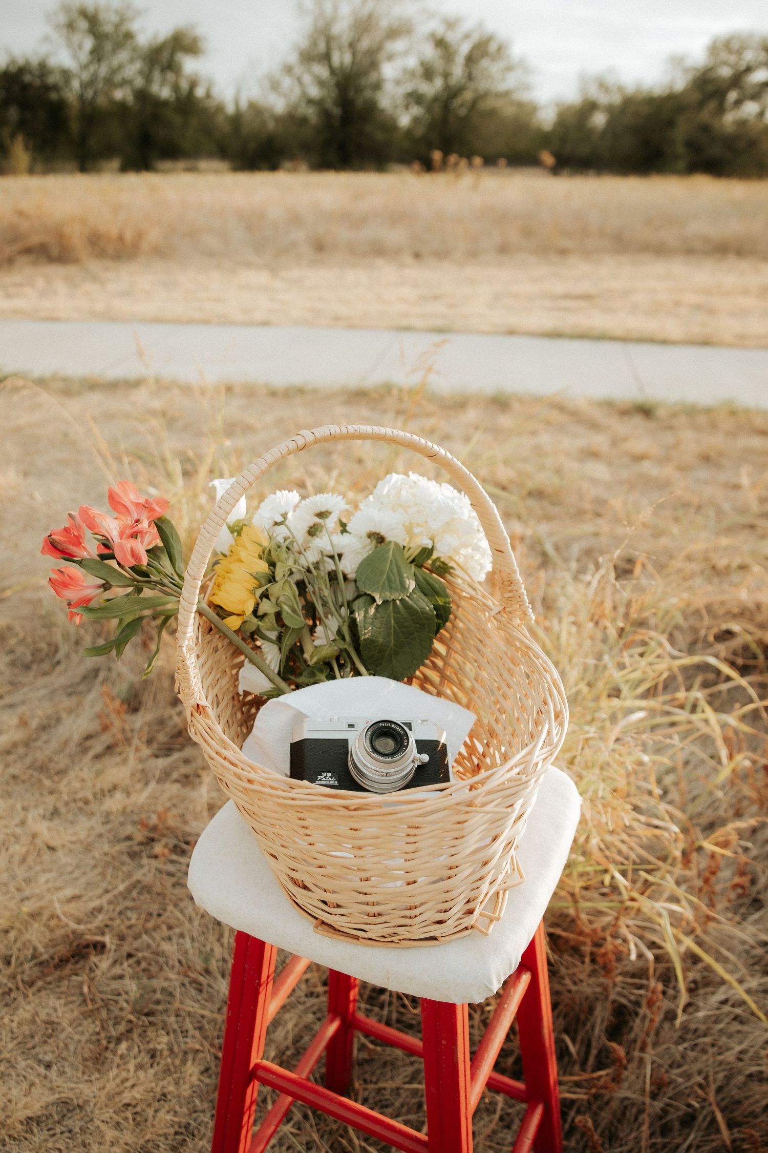 Wicker basket with colorful flowers and vintage camera on red stool in dry field.