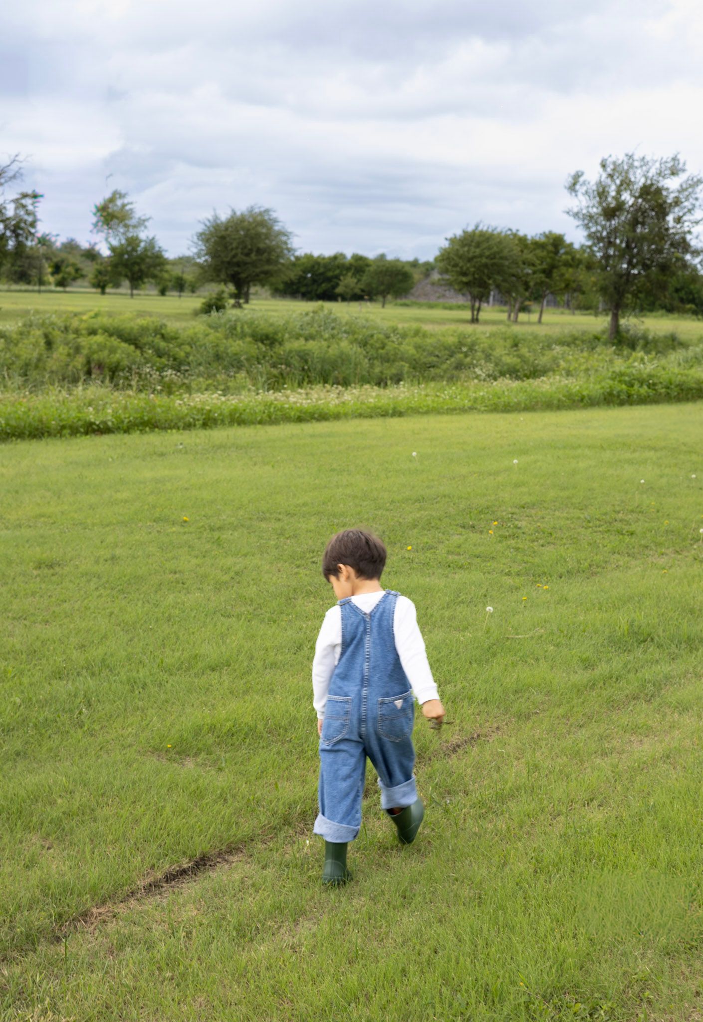 Toddler boy wearing denim overalls and green boots exploring a lush green grassy field.