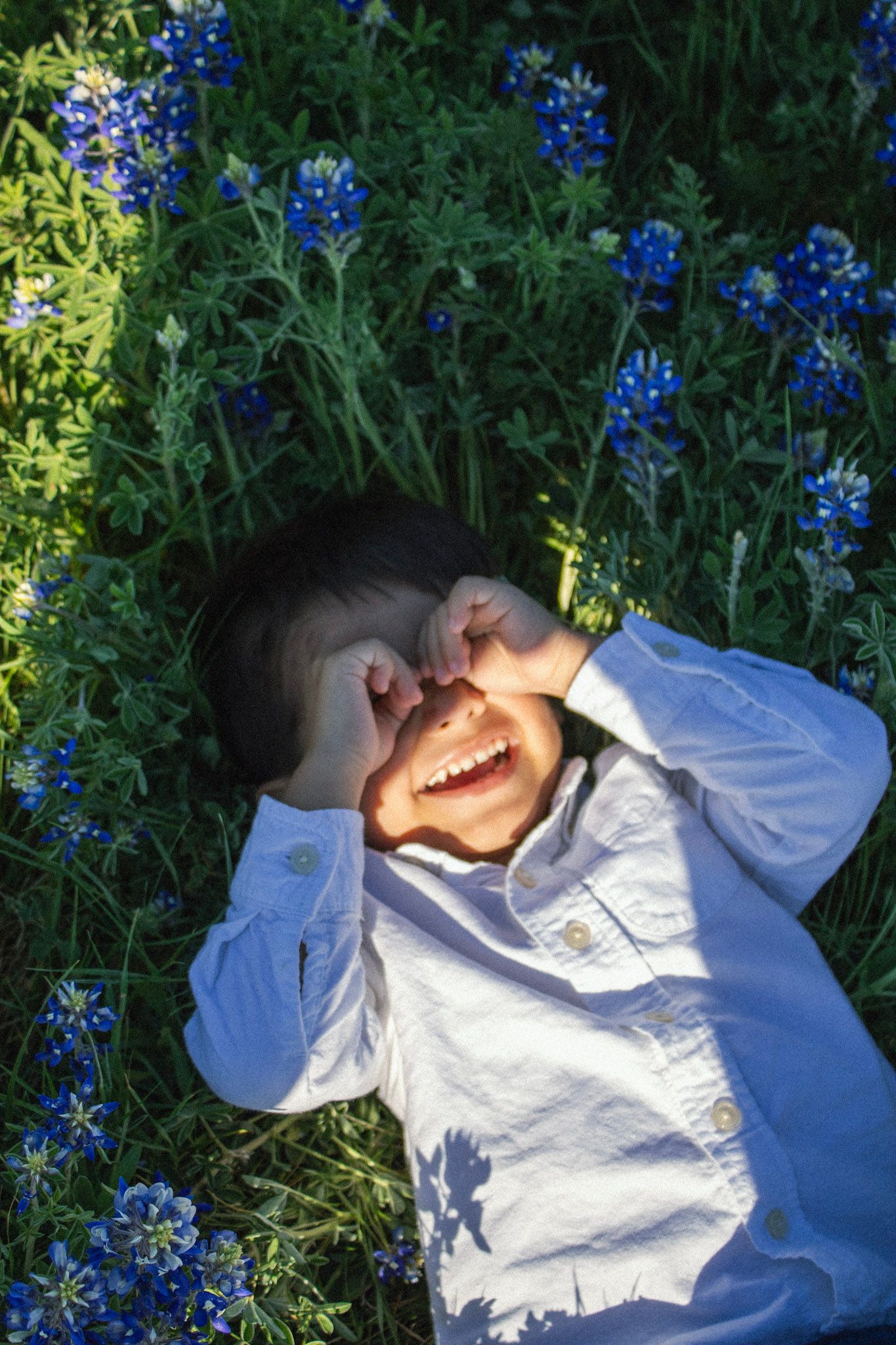 Happy child lying in a field of blue wildflowers with hands over face laughing.