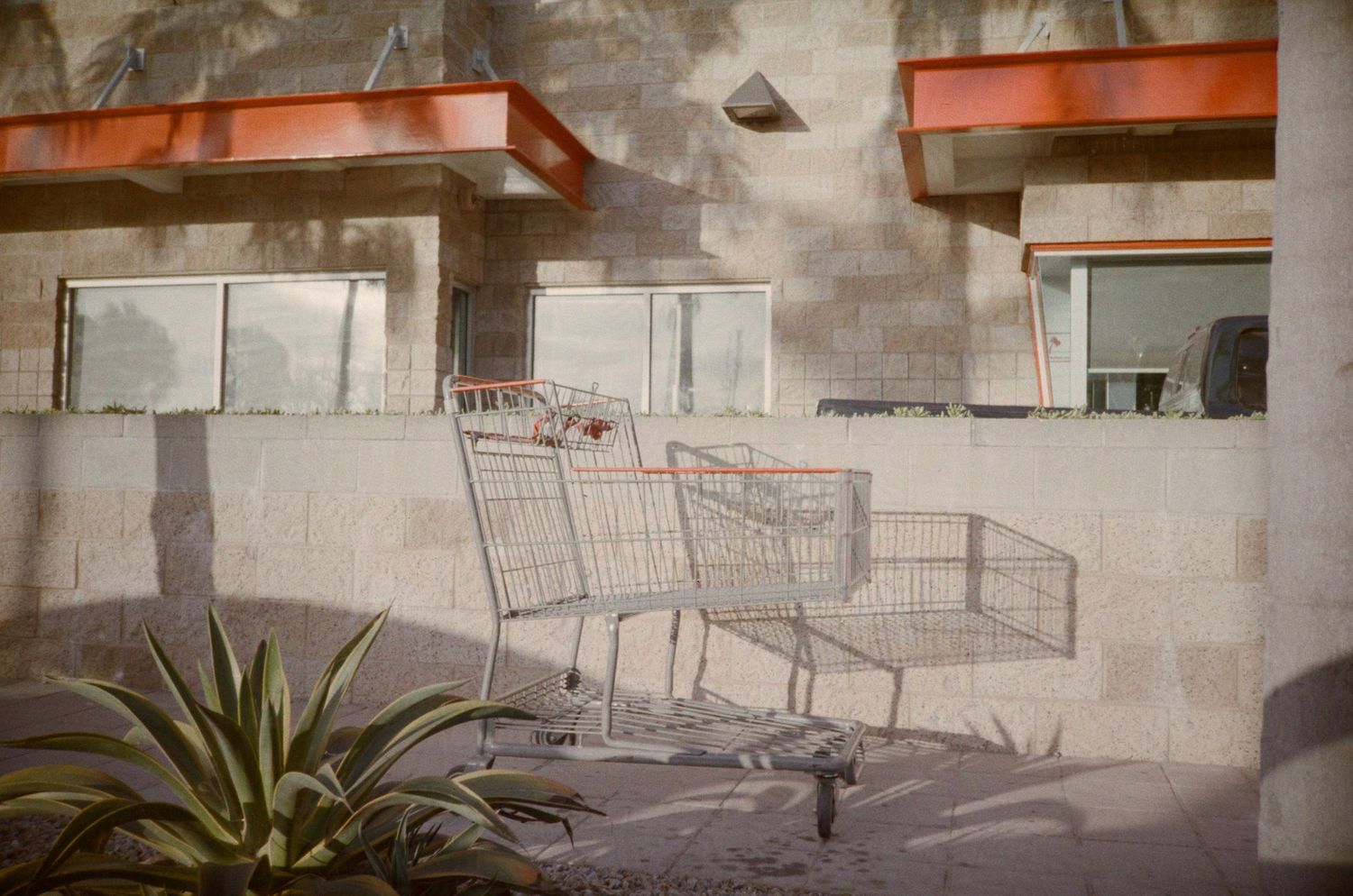 A Costco shopping cart posed artfully against a wall outside In N Out.

35mm film photo
© snapnon 2026