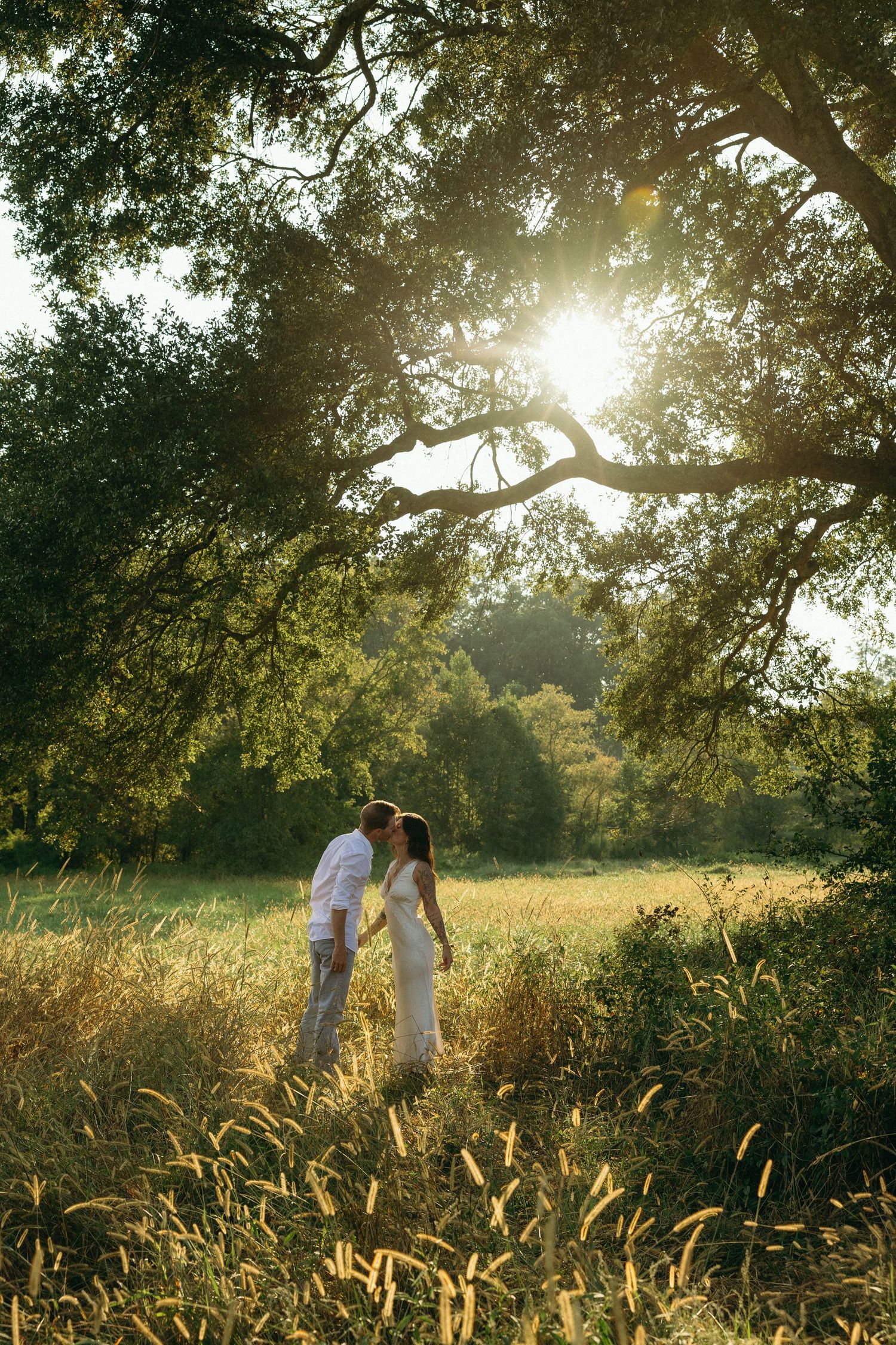Couple kissing in golden sunlit field under large oak tree, surrounded by tall grass and lush greenery.