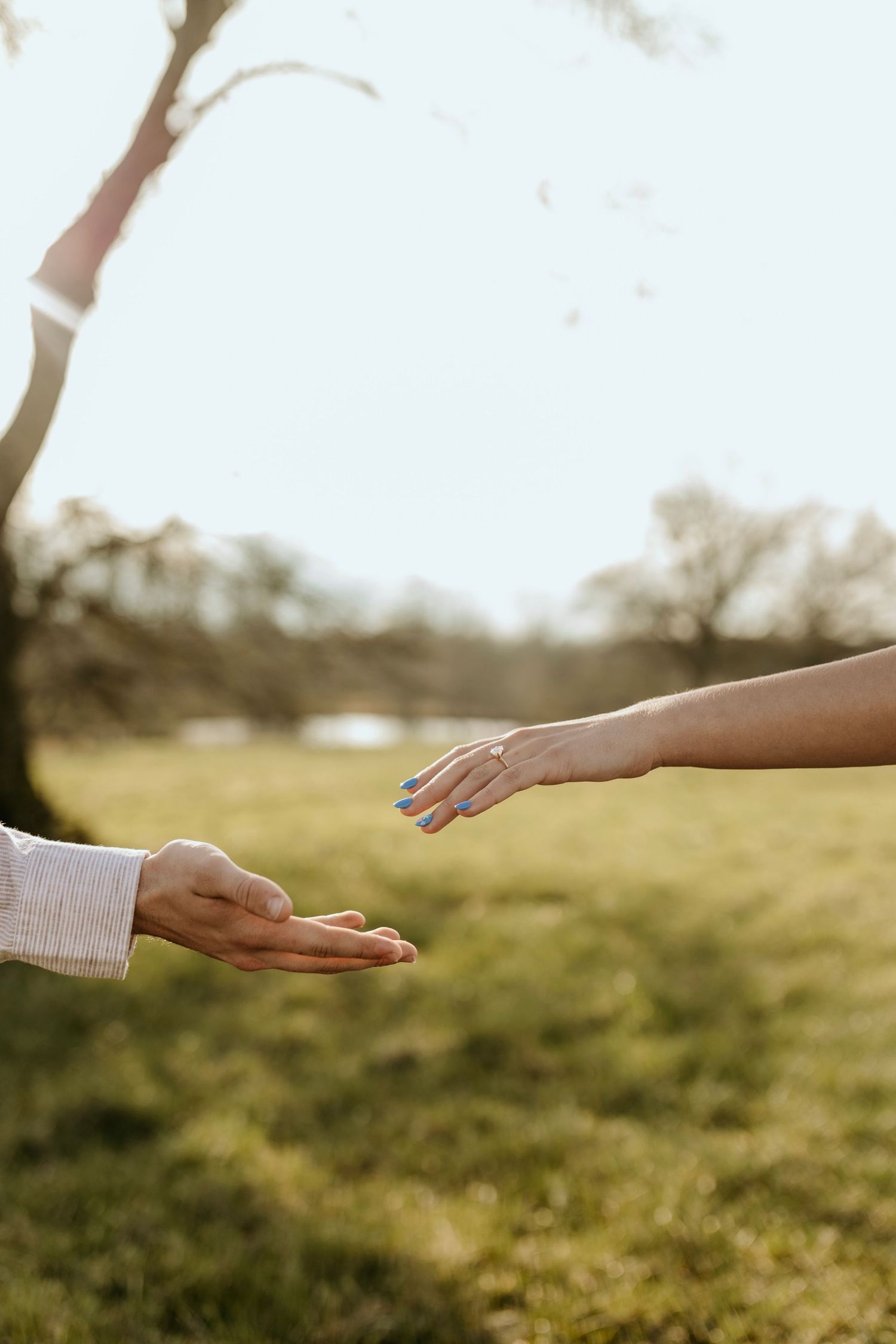 Two hands reaching towards each other in a sunlit field with soft focus background.