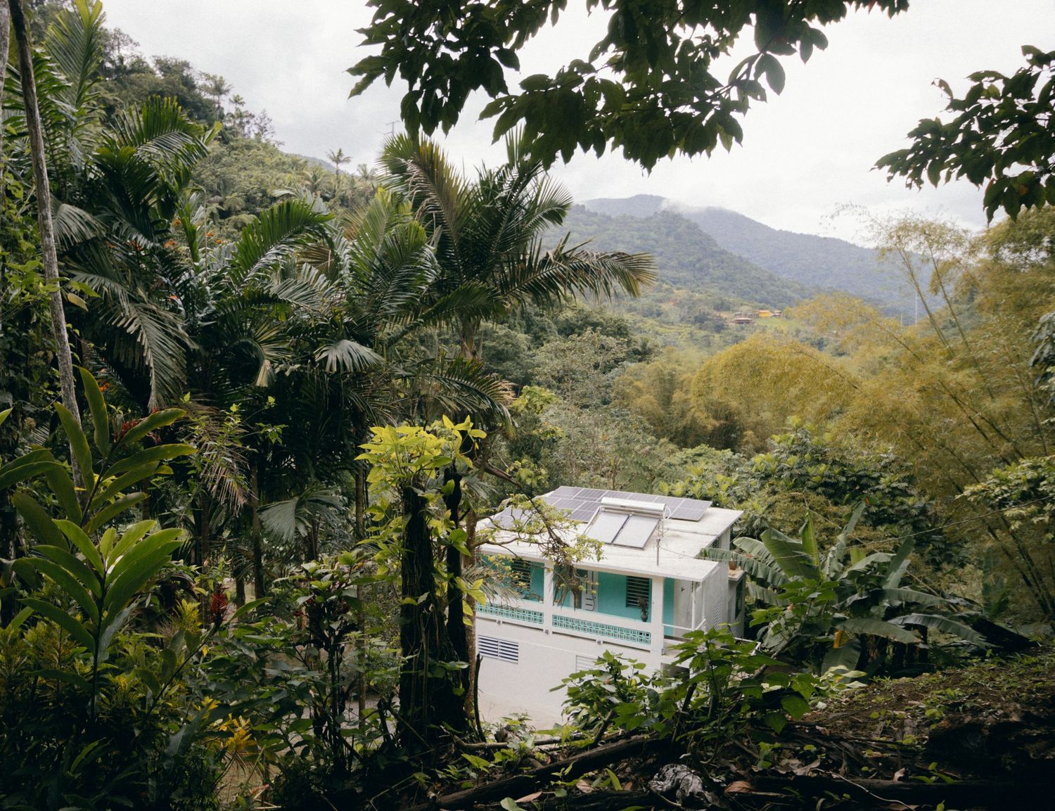 A white house with a pool nestled in lush tropical mountains of Puerto Rico peeks through dense jungle foliage.