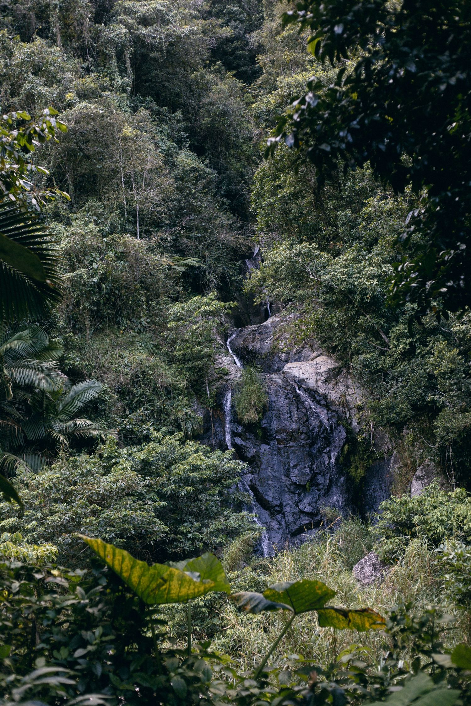 A scenic waterfall cascades down a rocky cliff face surrounded by lush tropical forest vegetation.
