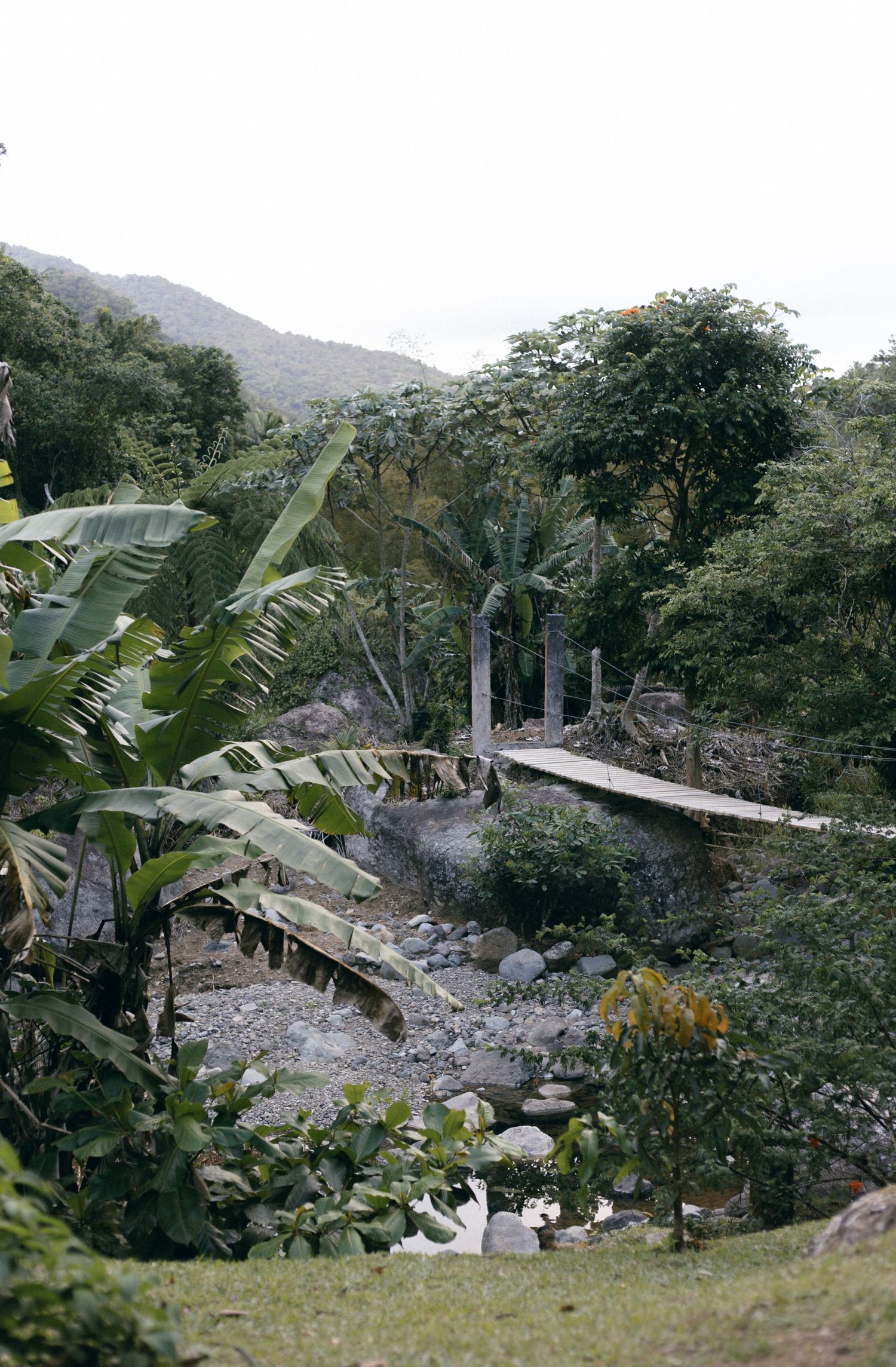 A rustic wooden footbridge spans across a rocky stream surrounded by lush tropical vegetation and mountains in the background.