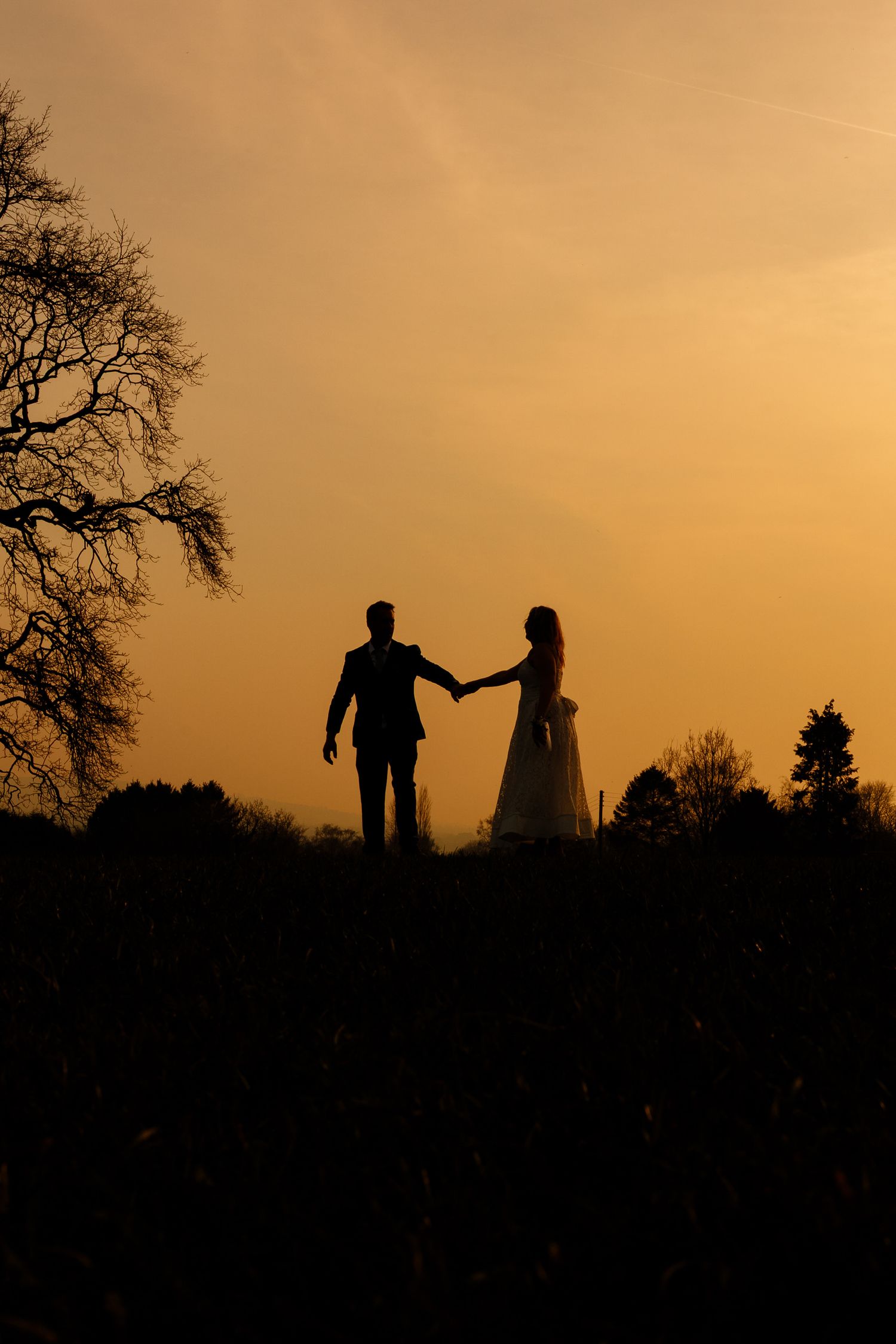Silhouette of a bride and groom holding hands on a hilltop against a golden orange sunset sky, with bare trees framing the scene.