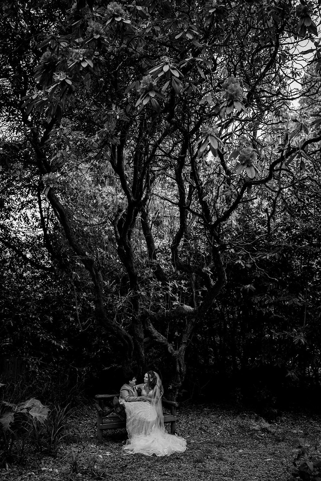 Black and white photo of a bride in a flowing gown seated on a bench surrounded by dark, dramatic woodland trees.