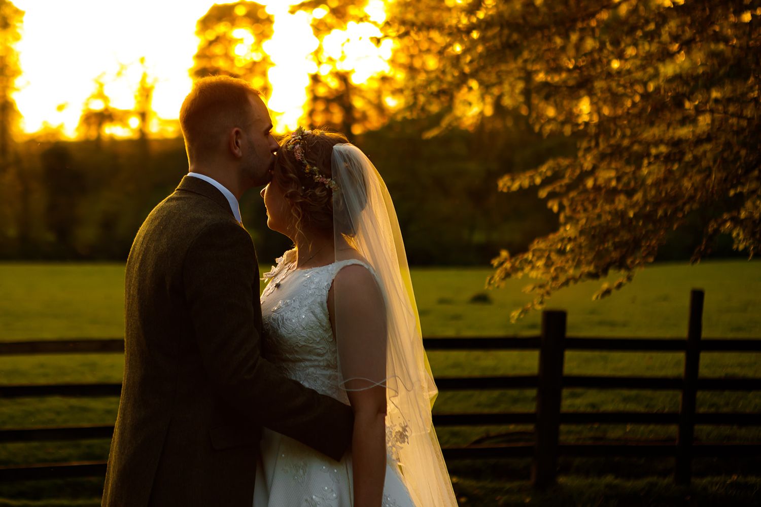 A couple shares a romantic kiss at sunset in a golden-lit field with wooden fencing in the background.
