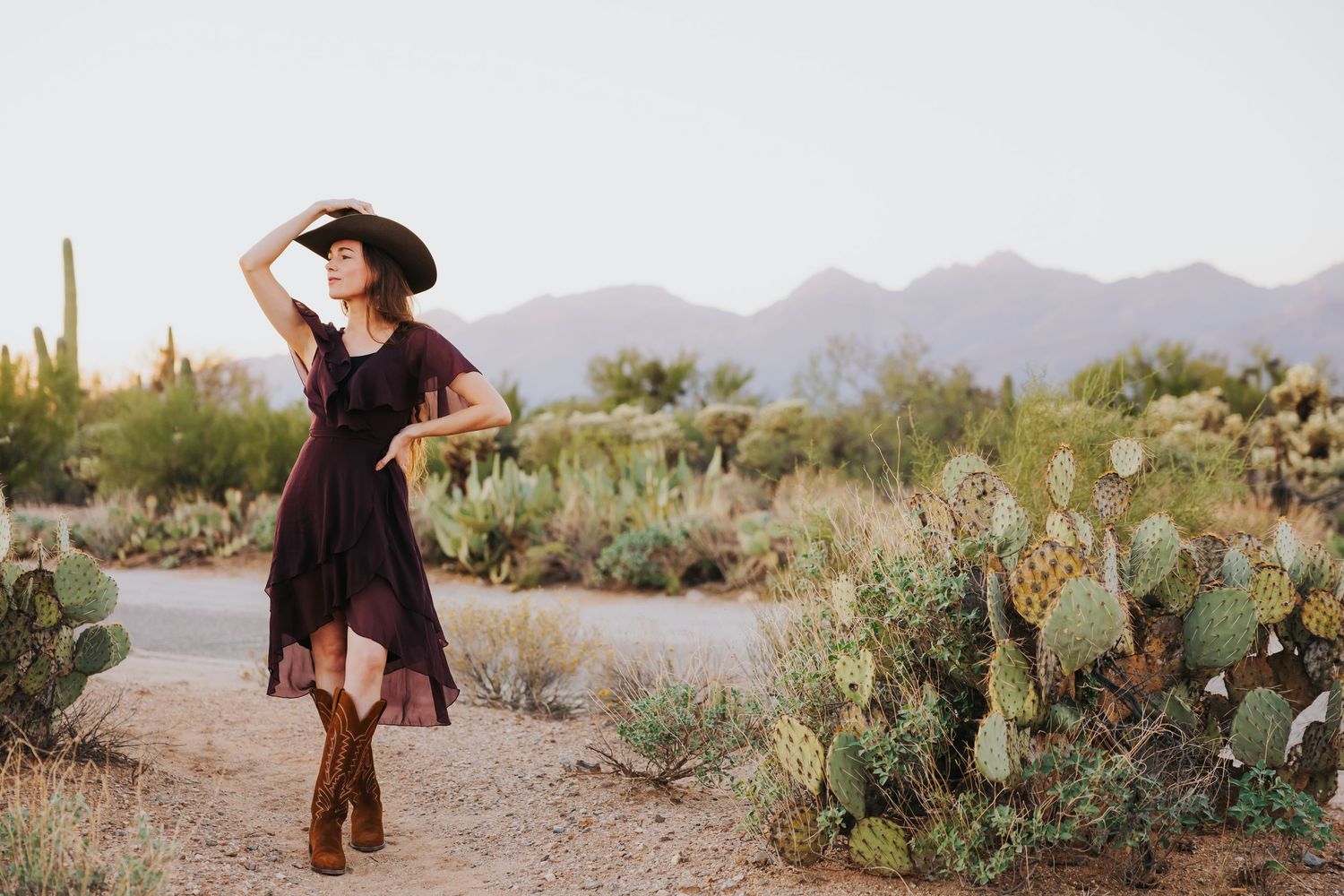 Desert landscape photography session with saguaro cacti and mountains in warm evening light.