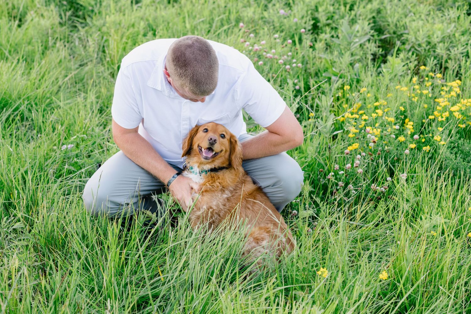 Man sitting in green grass petting a happy golden retriever dog surrounded by wildflowers.