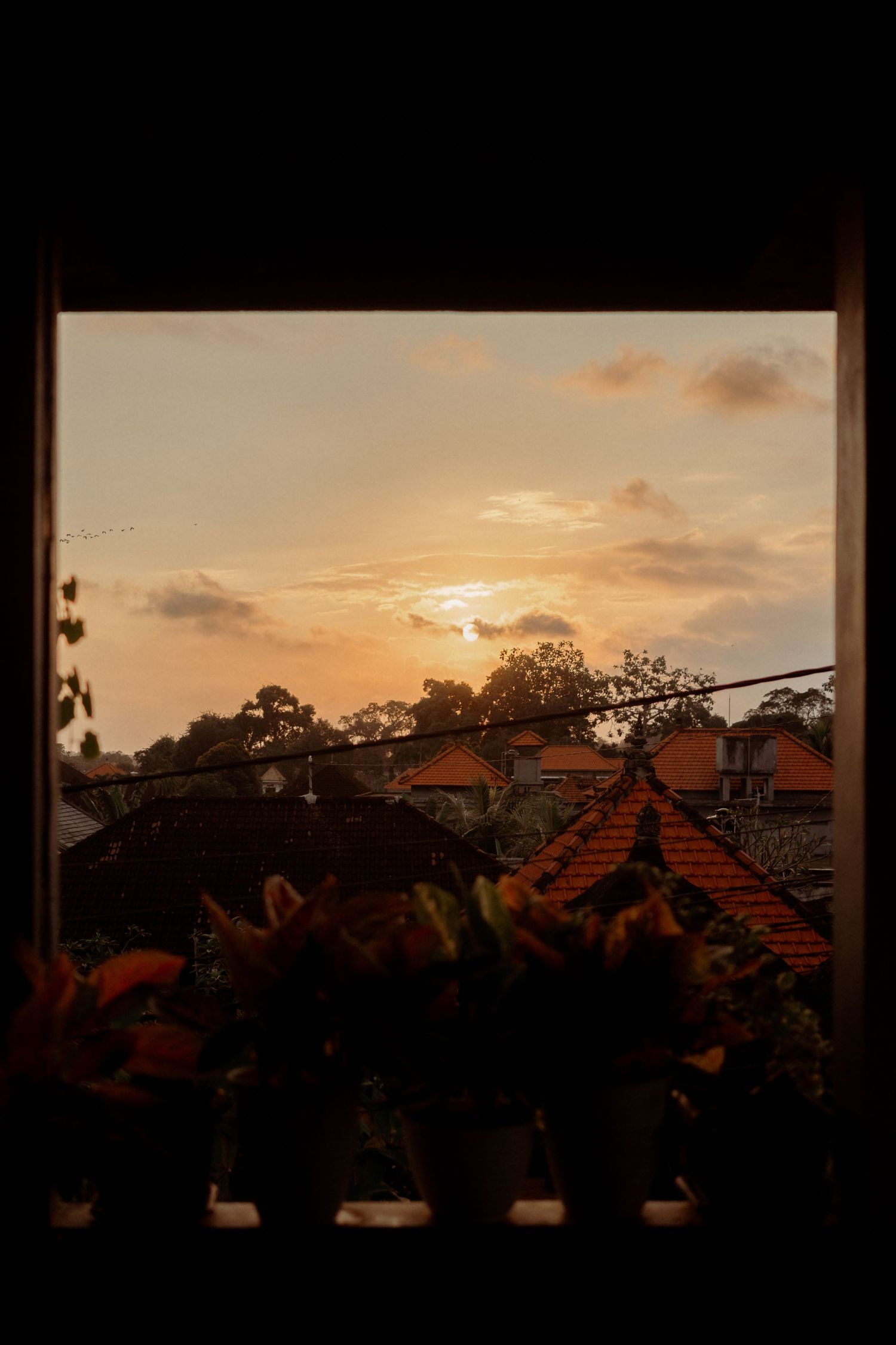 Golden sunset sky viewed through window frame with terracotta rooftops and potted plants silhouetted.