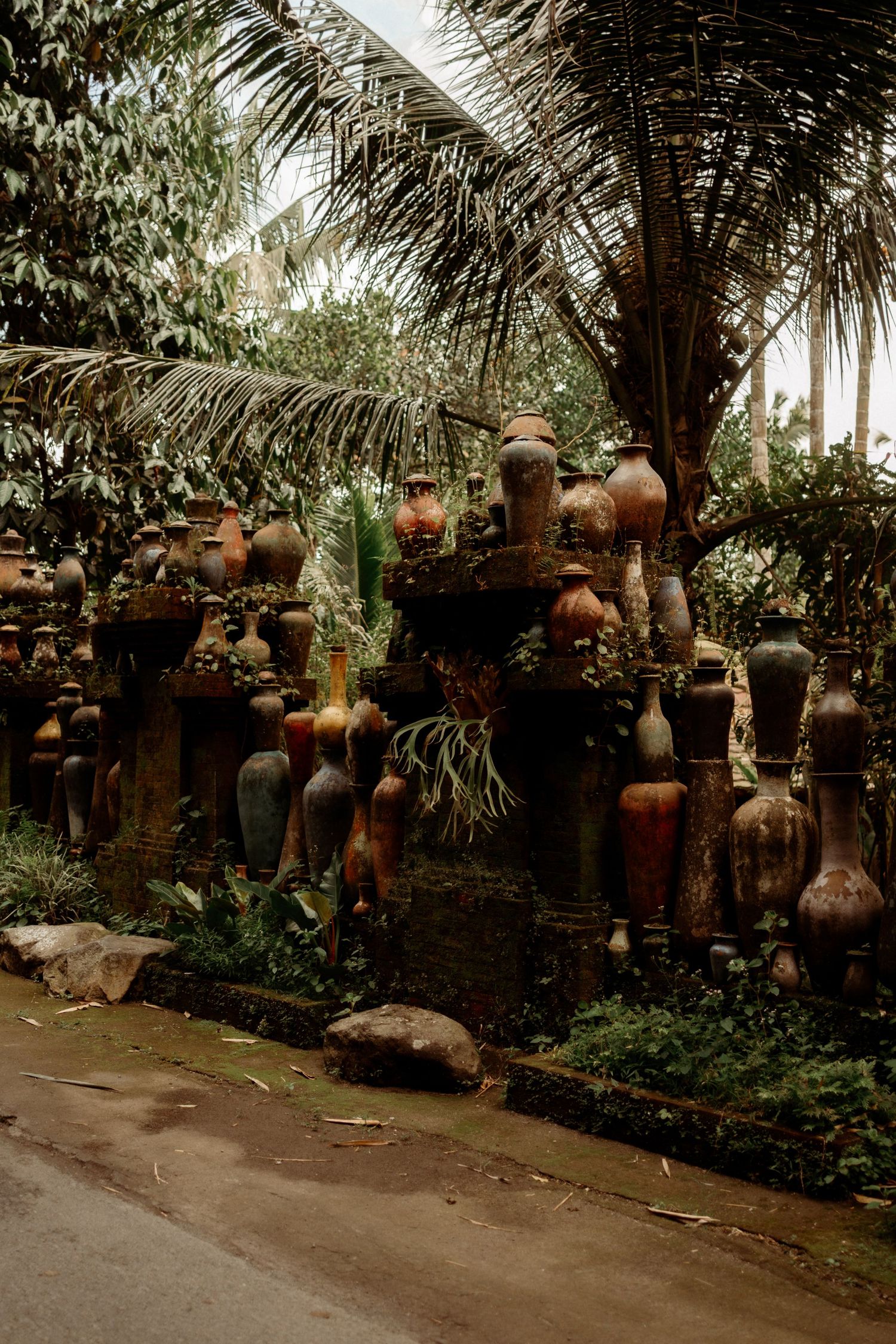 Rustic clay pots and ceramic vessels displayed on a stone wall surrounded by lush tropical palm trees in a garden.