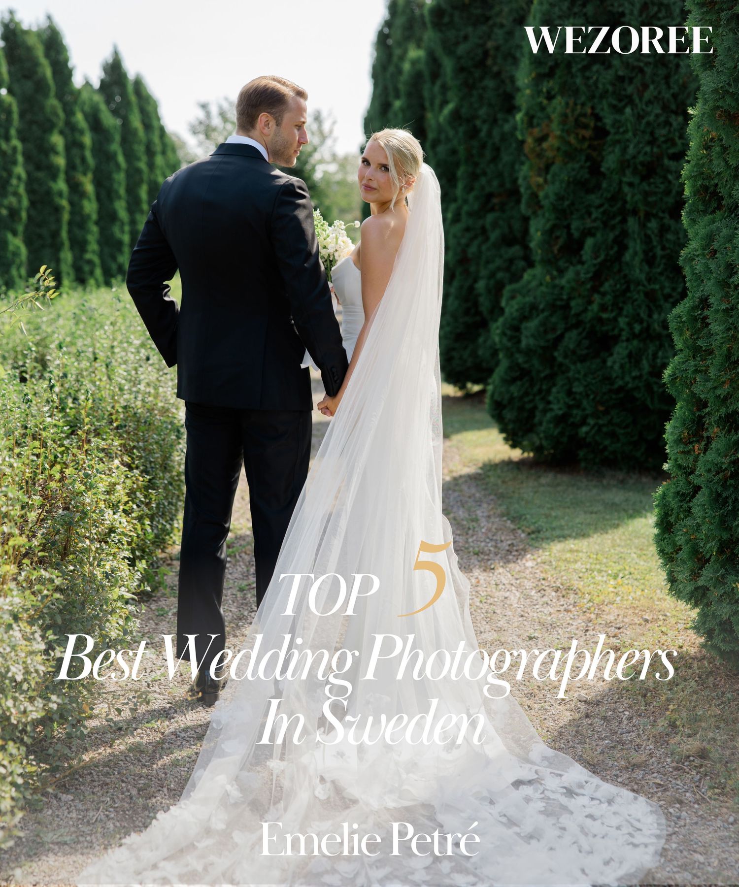 A wedding couple walks along a path lined with tall evergreen trees on a sunny day.