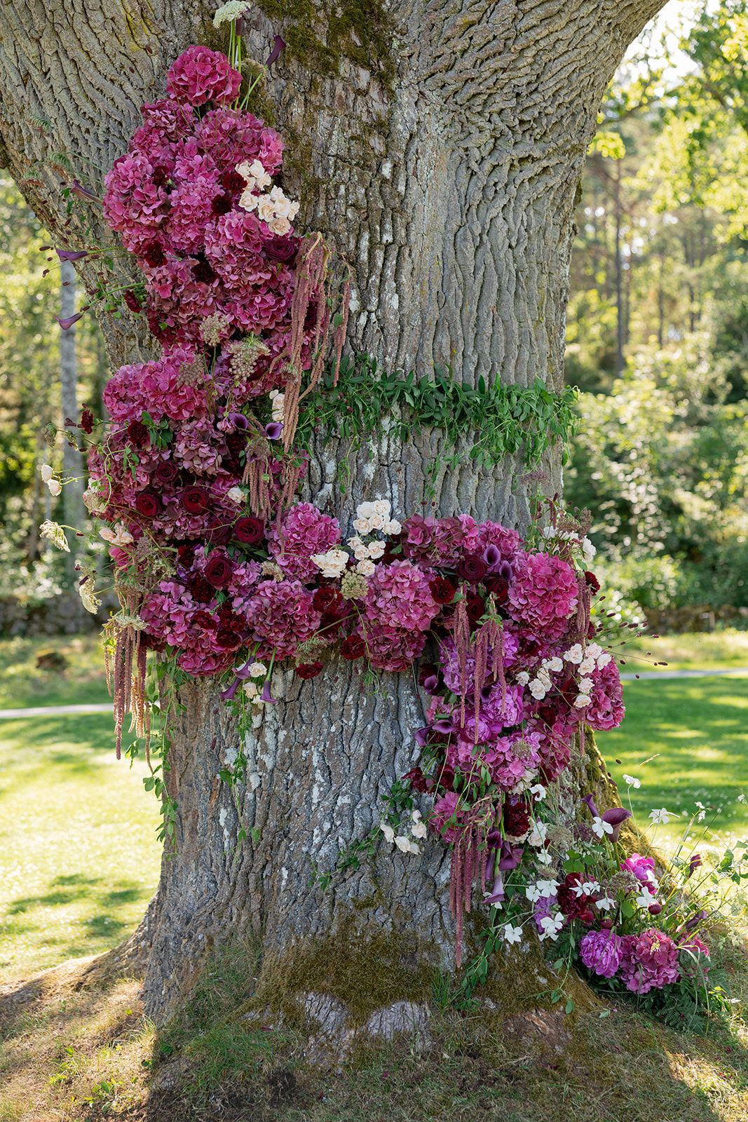 Lush pink and burgundy hydrangeas arranged elegantly on a large tree trunk in a sunlit garden setting.