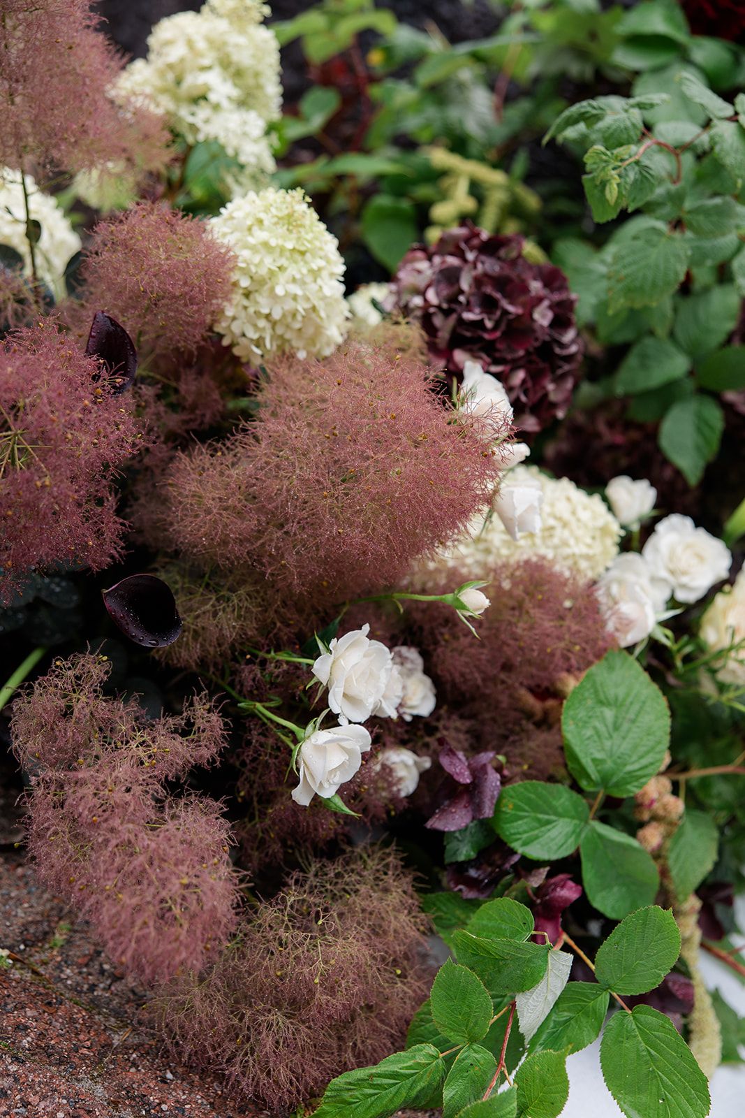 Lush floral arrangement featuring dusty pink smoke bush, white hydrangeas, dark burgundy blooms, and green foliage.