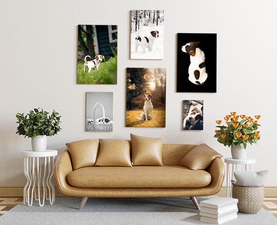 A collection of pet portraits hung on a white wall above a beige sofa with orange flowers and greenery in white vases.