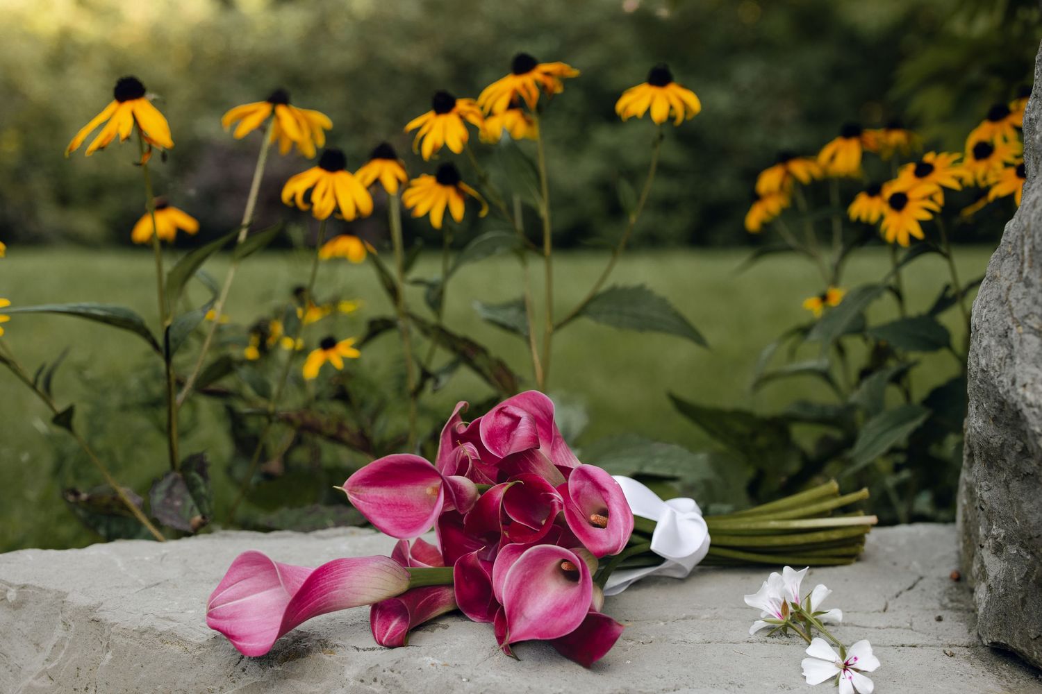 Yellow Black-Eyed Susan flowers and pink calla lilies create a beautiful garden border display along a stone wall.