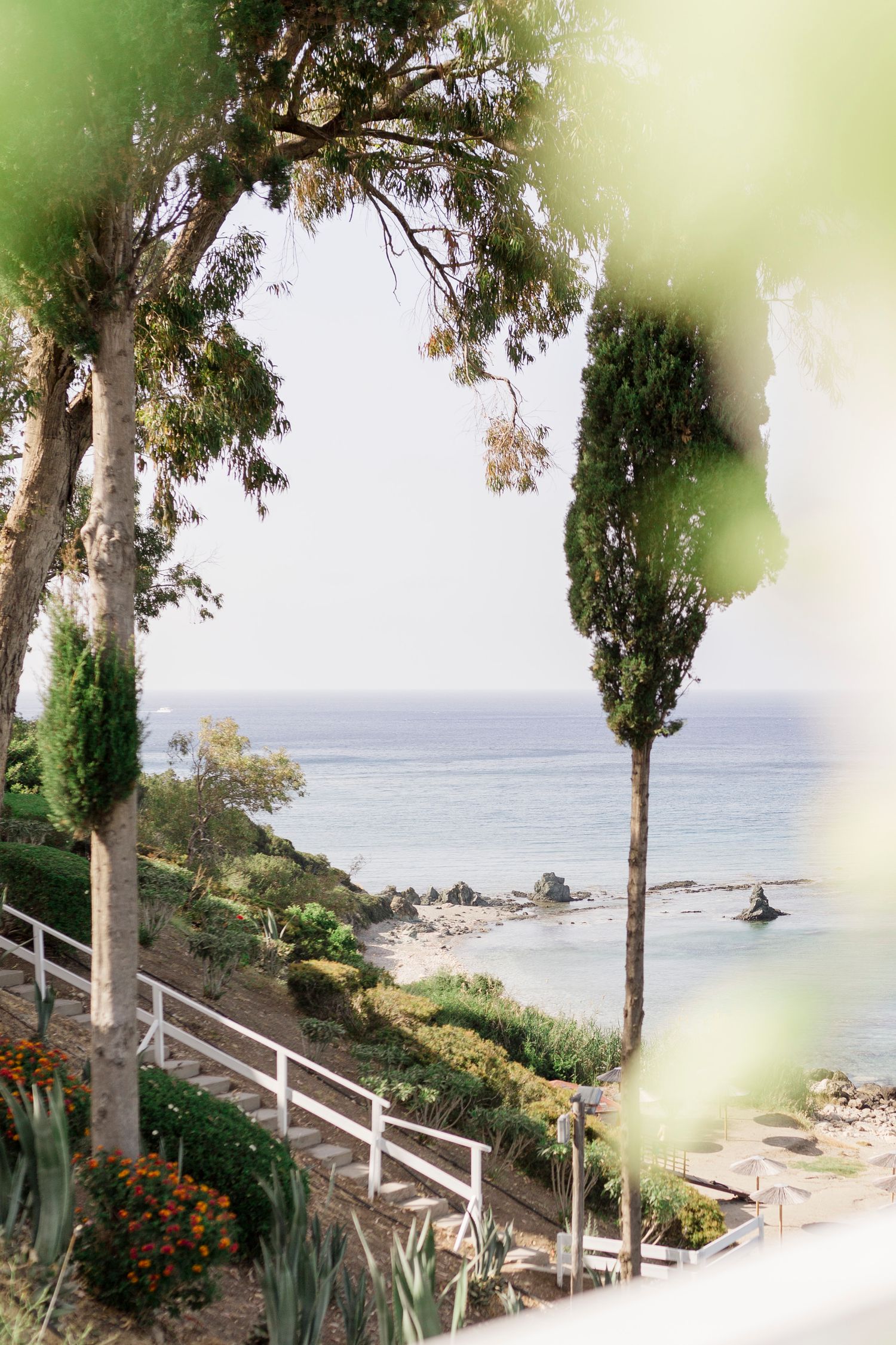 Scenic coastal pathway with stairs leading down to a beach, framed by tall cypress trees and ocean views.