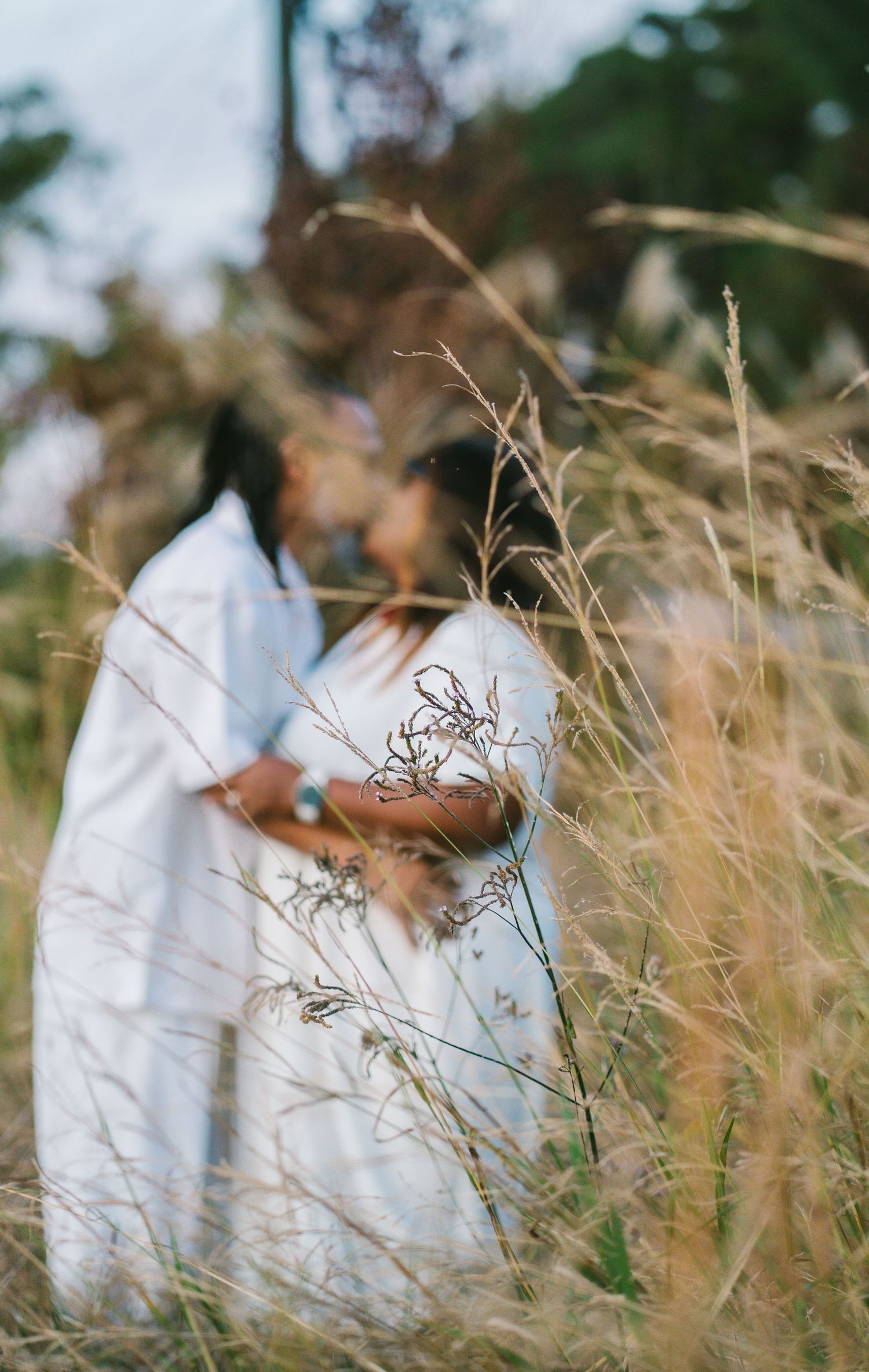 Couple in white outfits sharing a tender moment partially hidden by tall golden grass in a field.