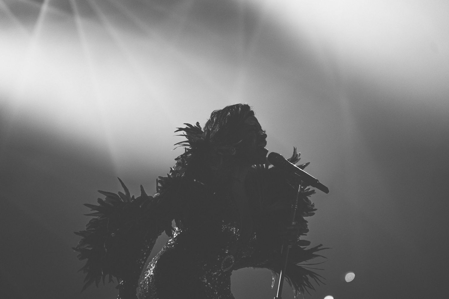 Silhouetted performer wearing dramatic feathered costume on stage with bright concert lights beaming from behind.