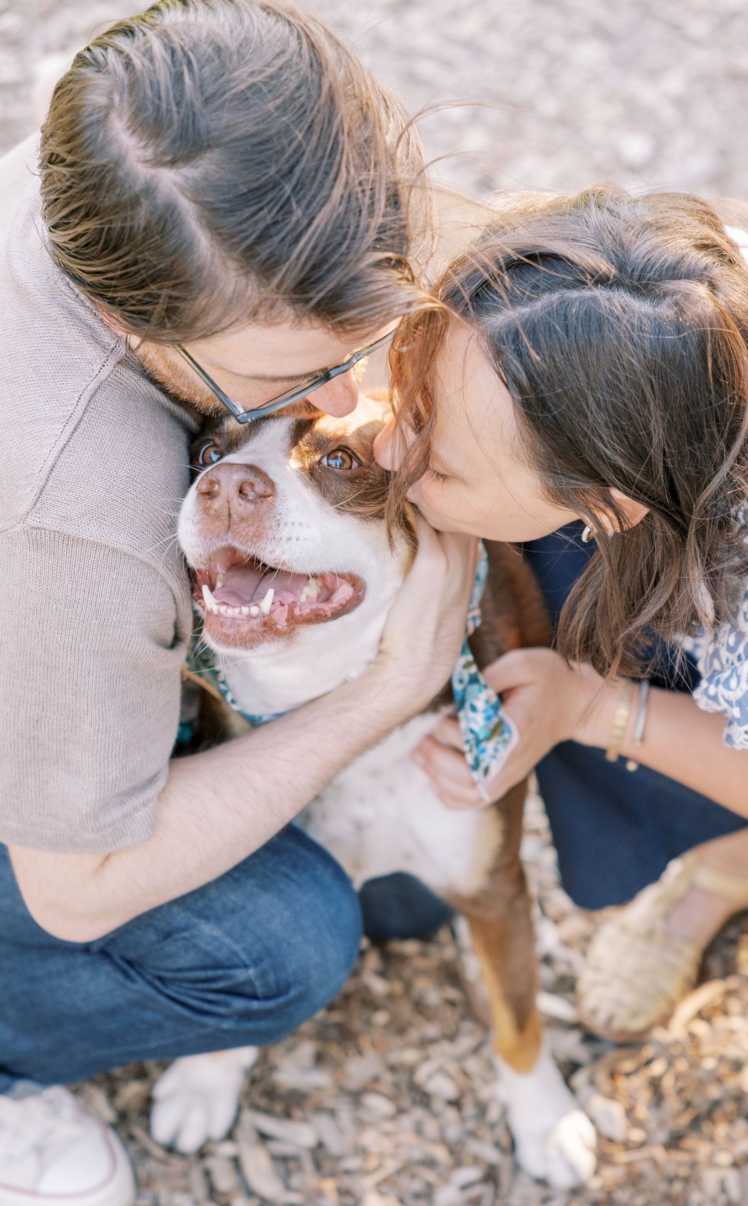 A series of photos showing a person giving affectionate kisses to a happy Australian Shepherd dog outdoors.