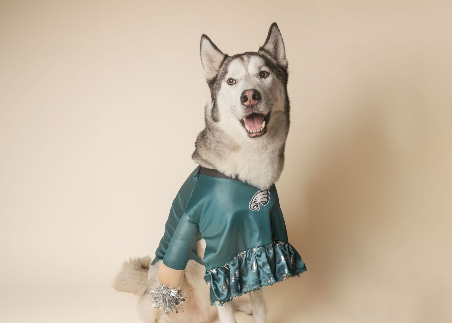 White dog wearing a teal blue ruffled dress poses in a series of playful shots against a beige backdrop.