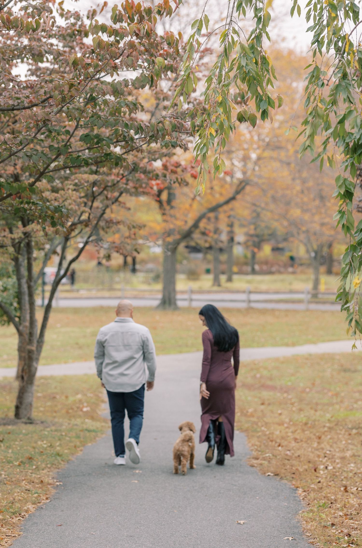 A couple walking their golden retriever on a tree-lined path covered in fallen autumn leaves on a peaceful afternoon.