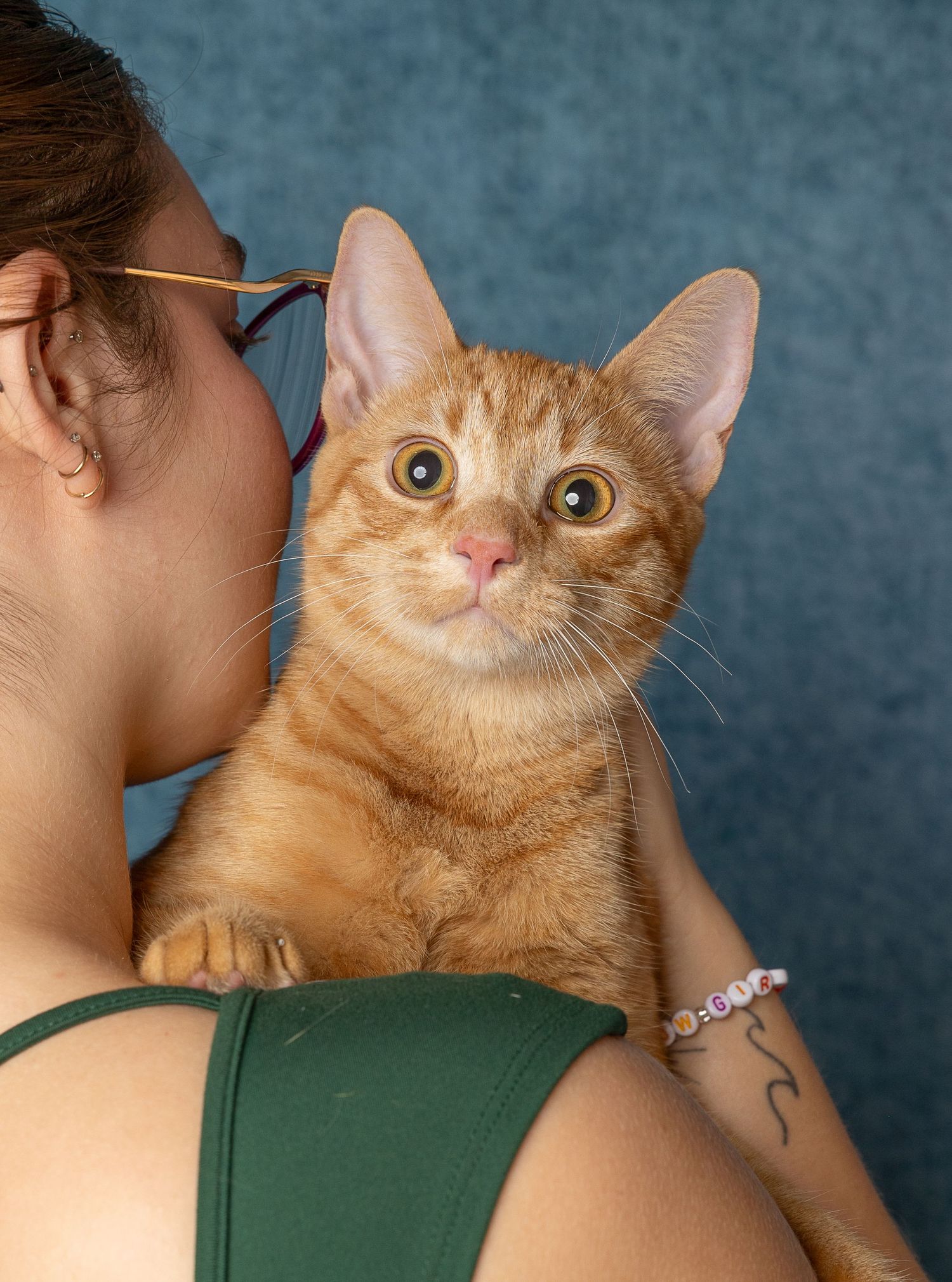 Orange tabby cat with wide eyes gazes adoringly while receiving affection in a series of tender moments.