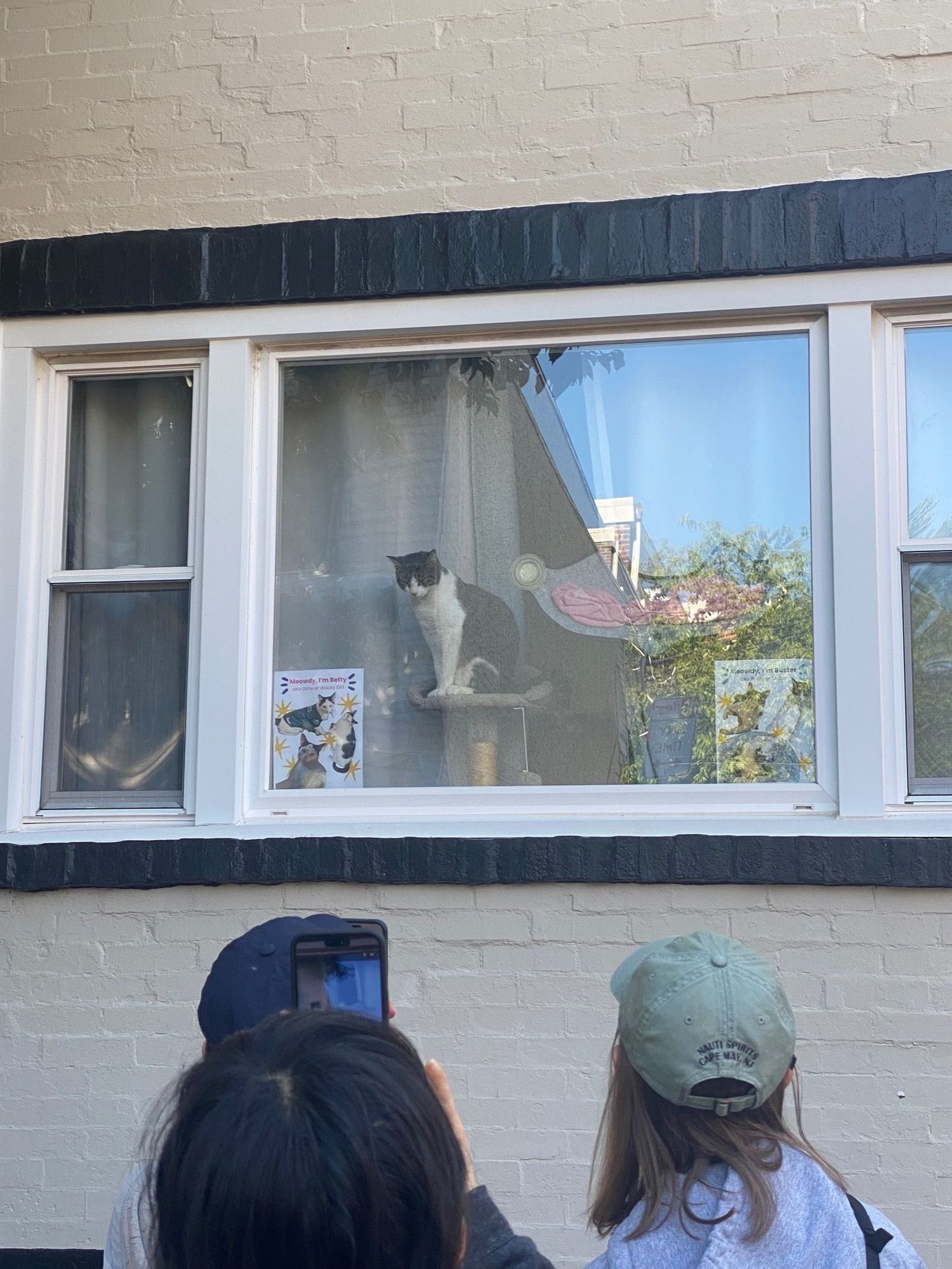 Two people photograph a black and white cat sitting in a window of a brick building.